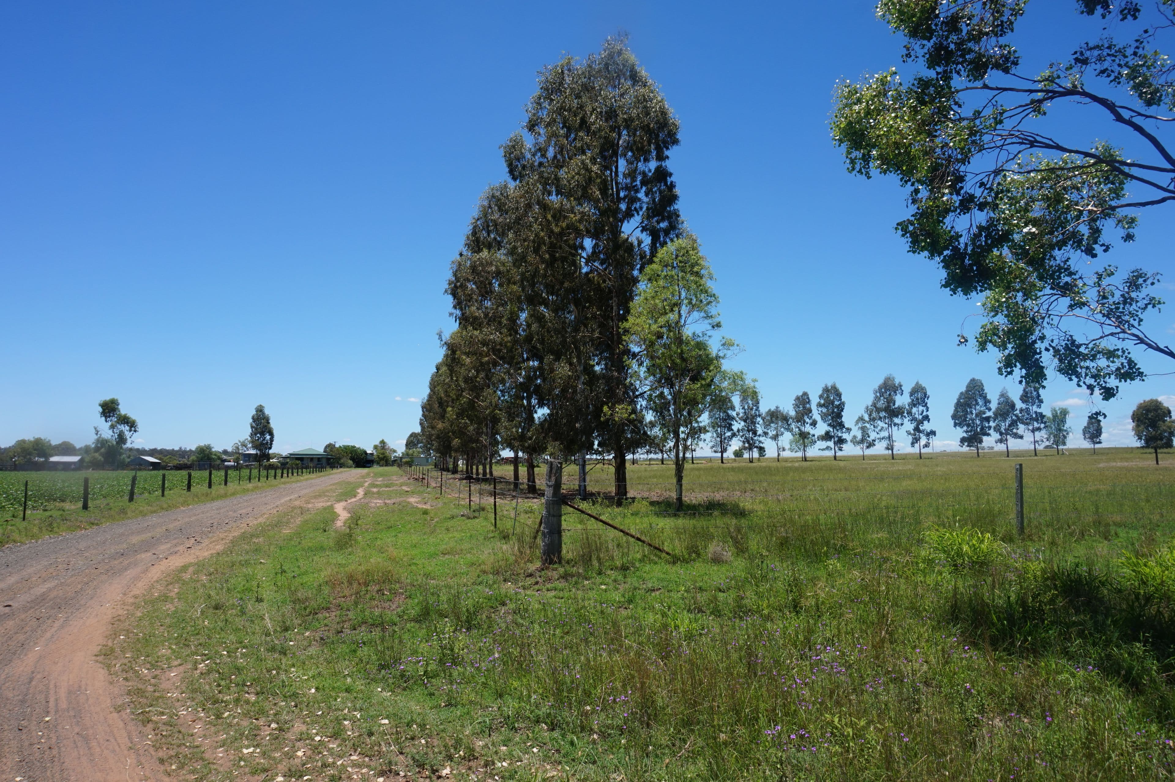 Lot 218 Old Rosemount Road, Brymaroo QLD 4403, Brymaroo - Thumbnail 3