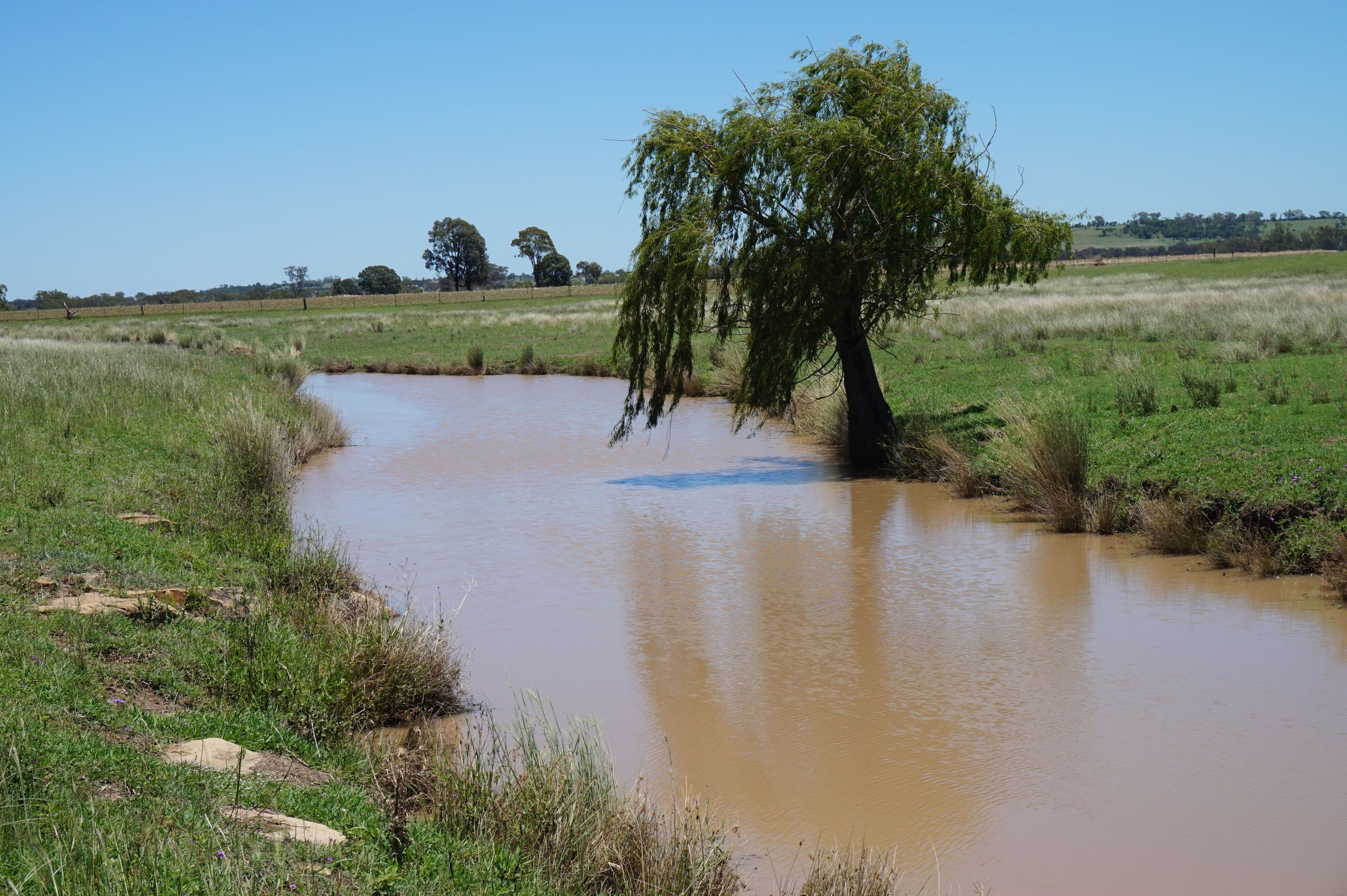 Lot 218 Old Rosemount Road, Brymaroo QLD 4403, Brymaroo - Thumbnail 7