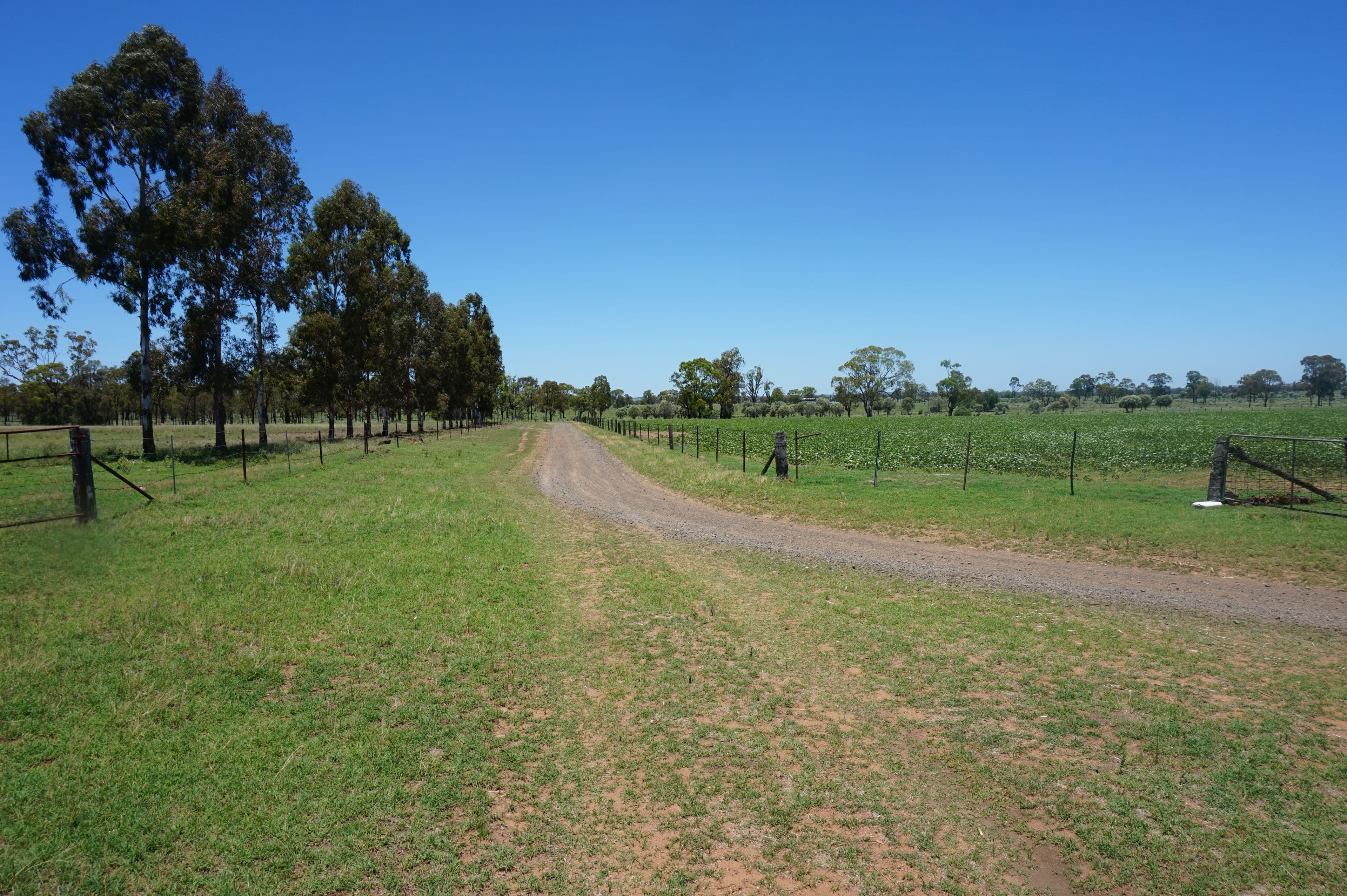 Lot 218 Old Rosemount Road, Brymaroo QLD 4403, Brymaroo - Thumbnail 4