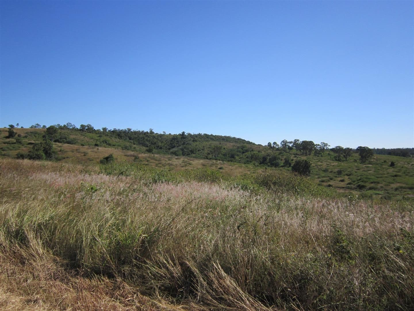 76 Aplin Road, Bracewell QLD 4695, Bracewell - Thumbnail 6