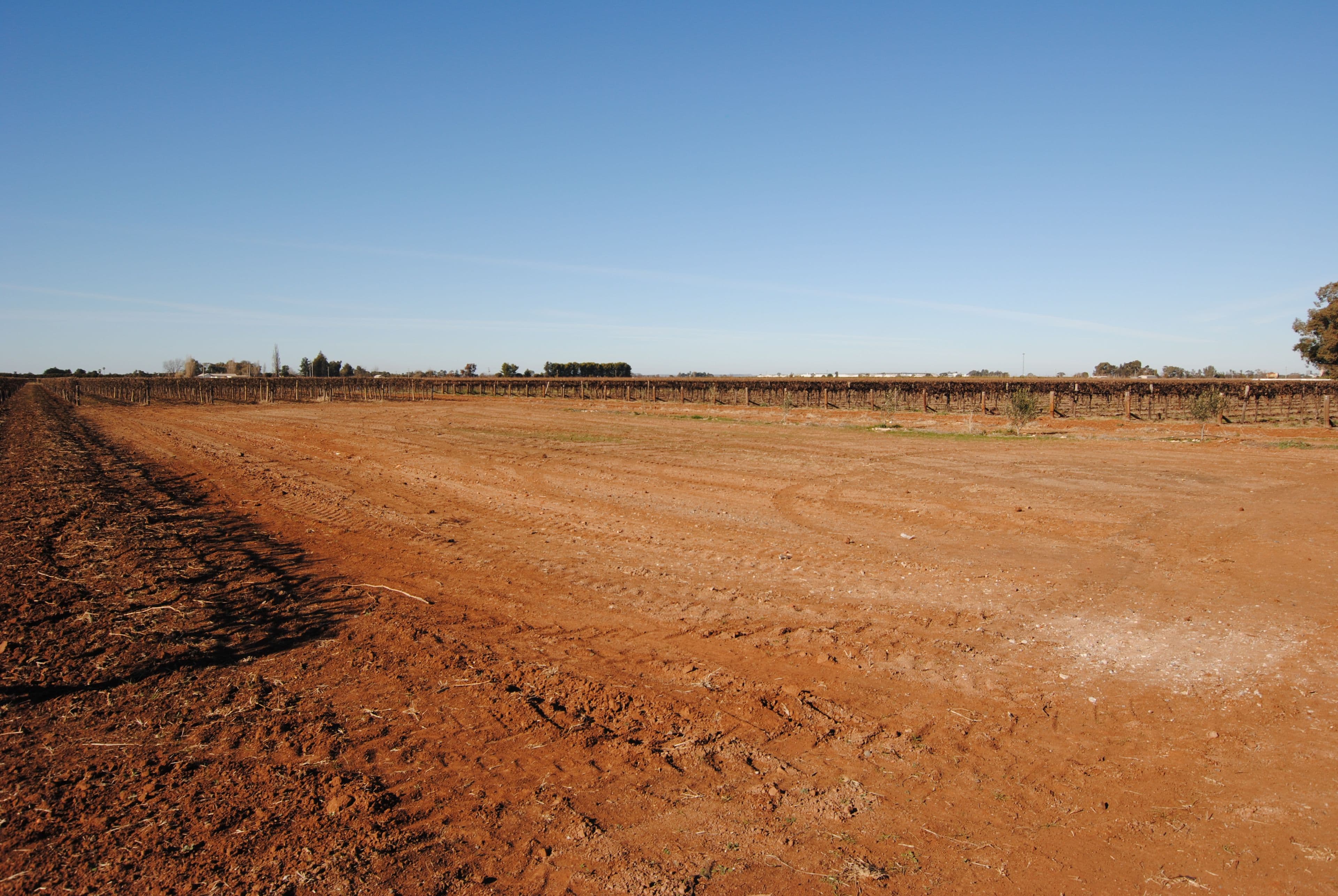 Yenda NSW 2681, Yenda - Image 1