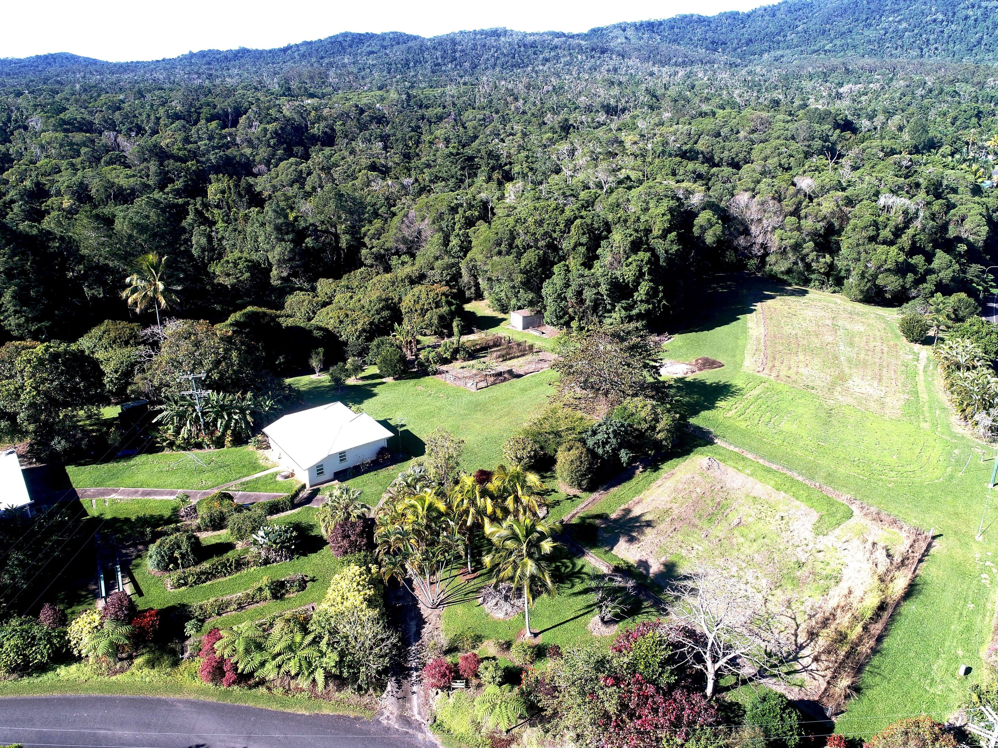 2-6 Black Mountain Road, Kuranda QLD 4881, Kuranda - Image 1