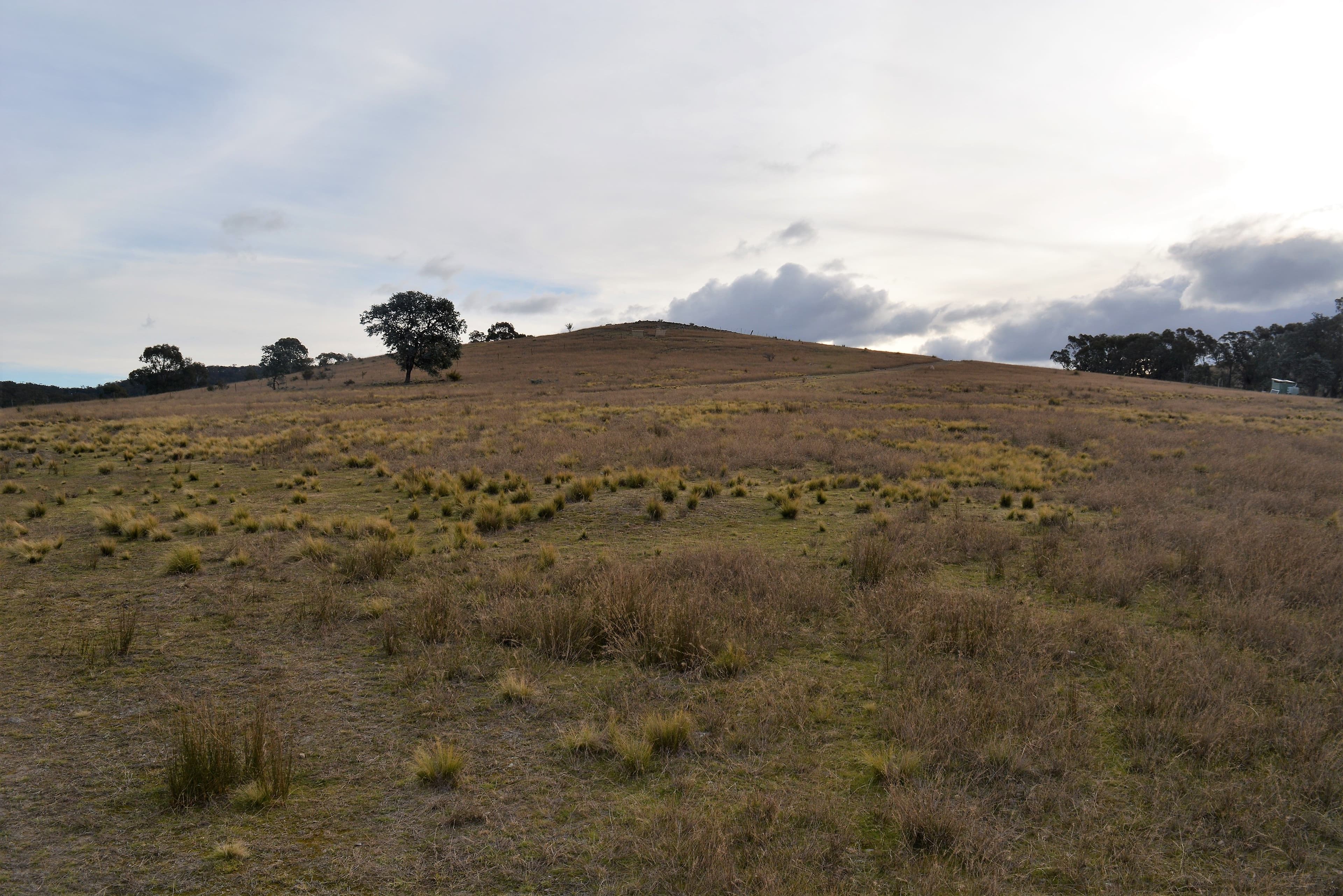 Lot 1 435 'Pine Hill' Towrang Road, Towrang NSW 2580, Towrang - Thumbnail 6