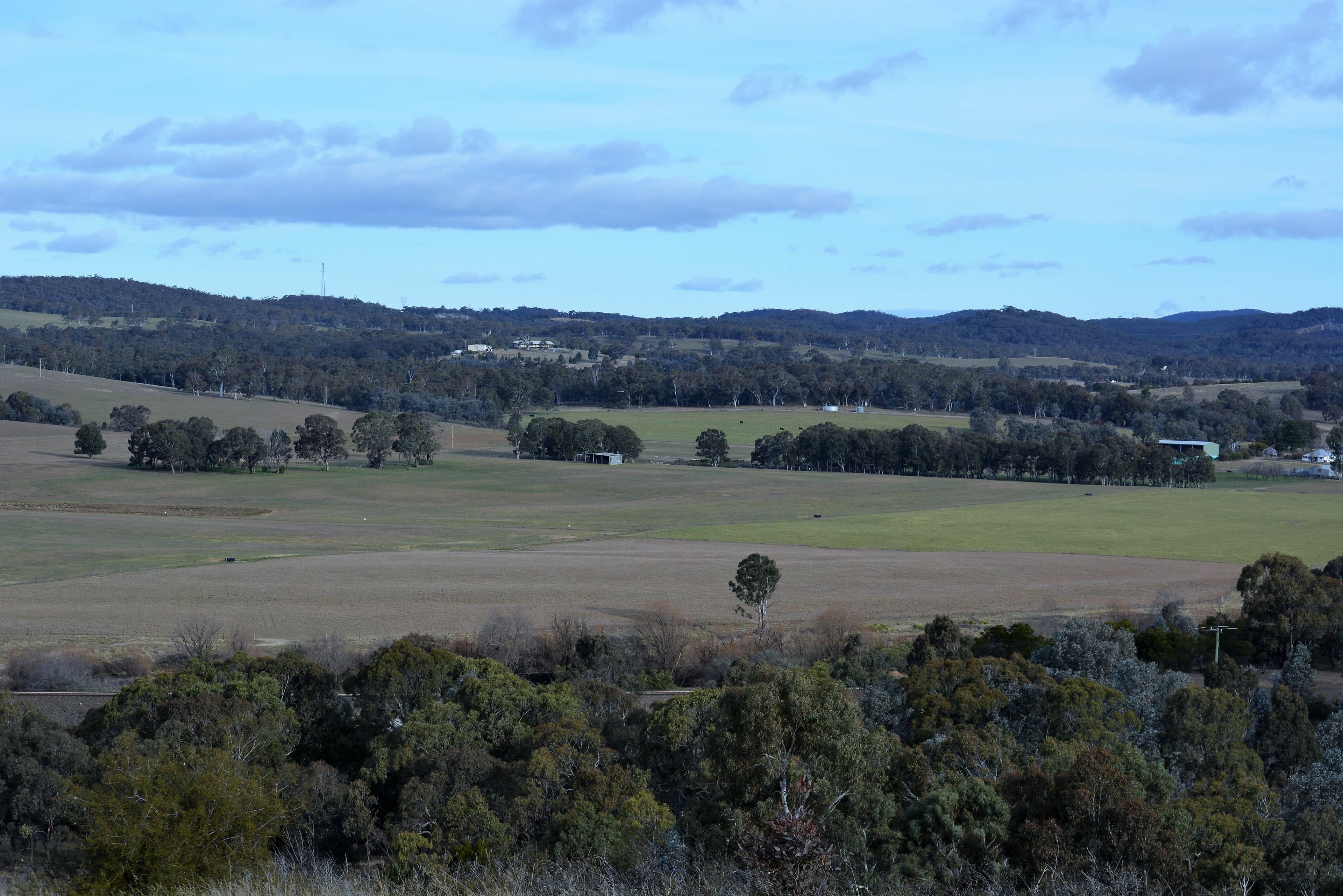 Lot 1 435 'Pine Hill' Towrang Road, Towrang NSW 2580, Towrang - Thumbnail 4