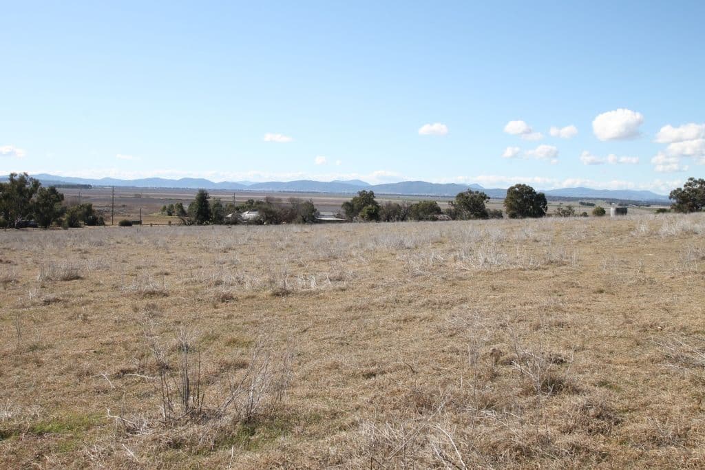 1753 Bundella Road, Quirindi NSW 2343, Quirindi - Thumbnail 2