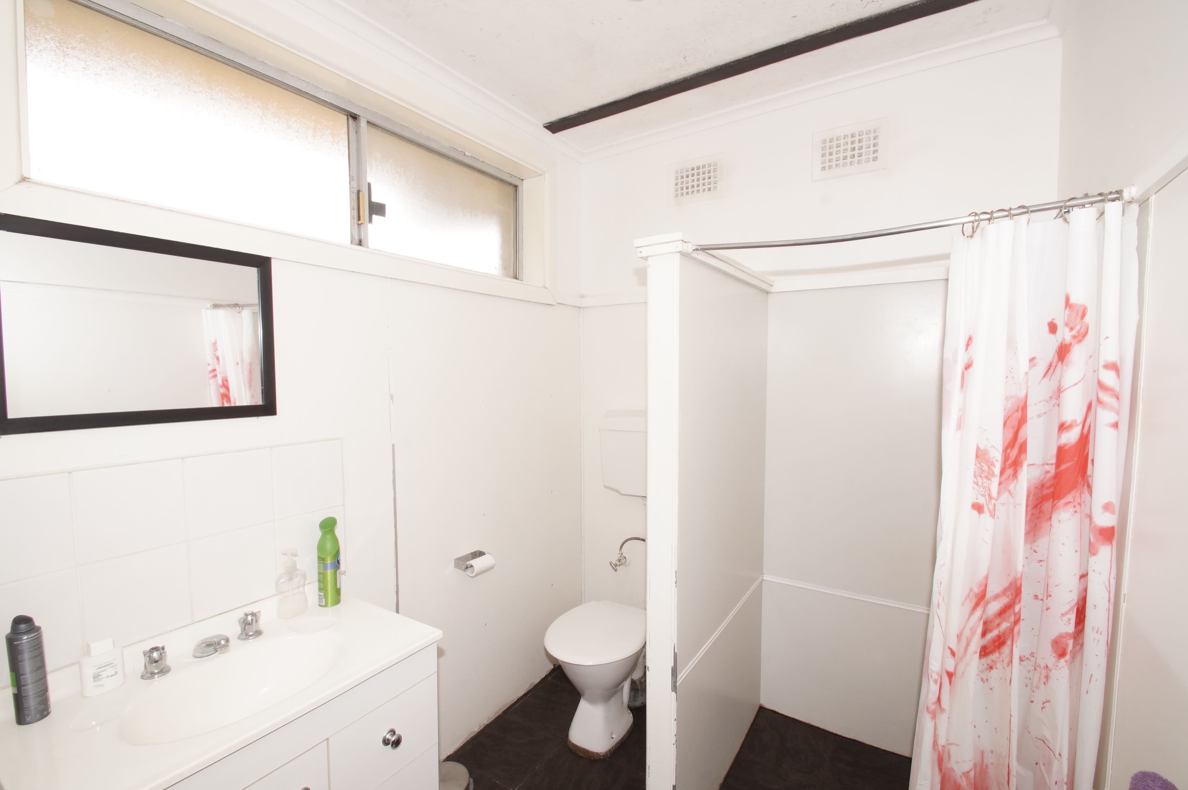 184 Donnelly Street, Armidale NSW 2350, Armidale - Thumbnail 5