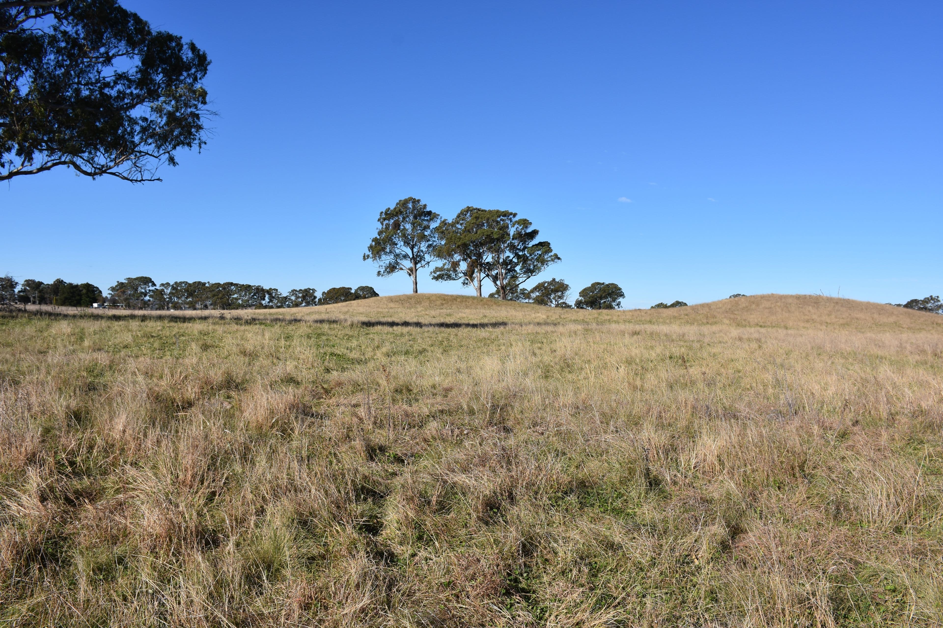 205 Hunter Street, Glen Innes NSW 2370, Glen Innes - Thumbnail 5