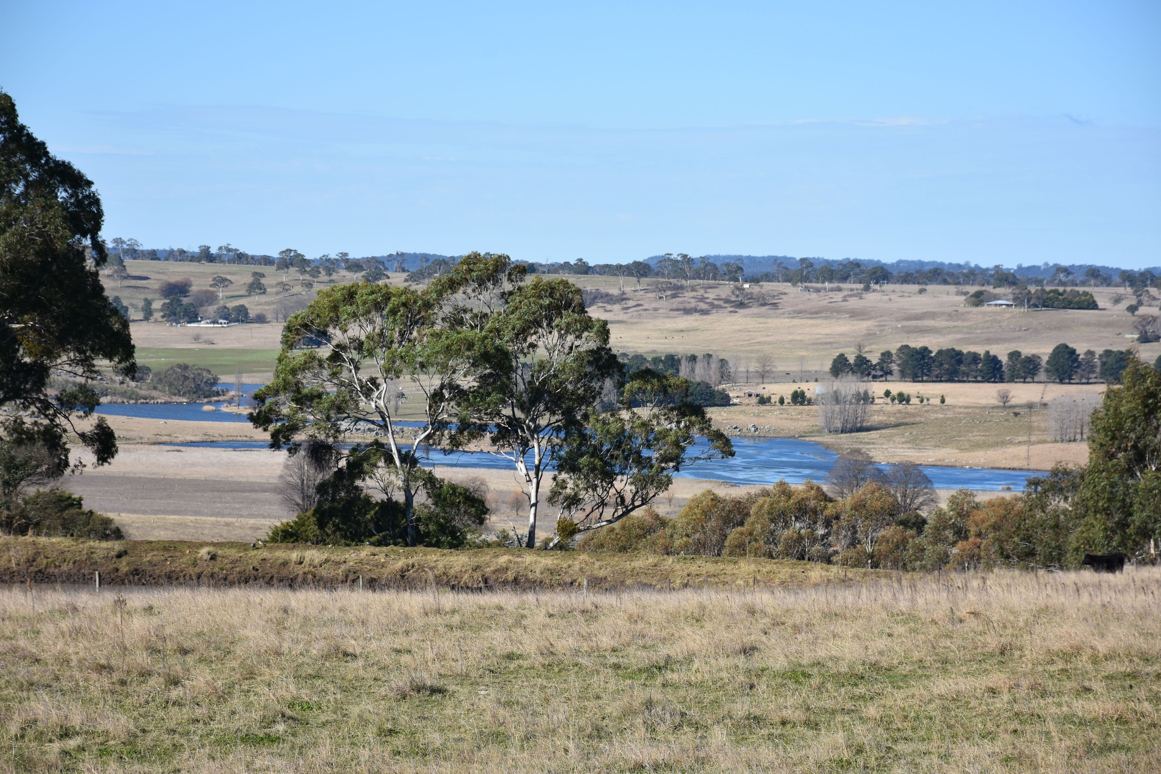 205 Hunter Street, Glen Innes NSW 2370, Glen Innes - Thumbnail 6