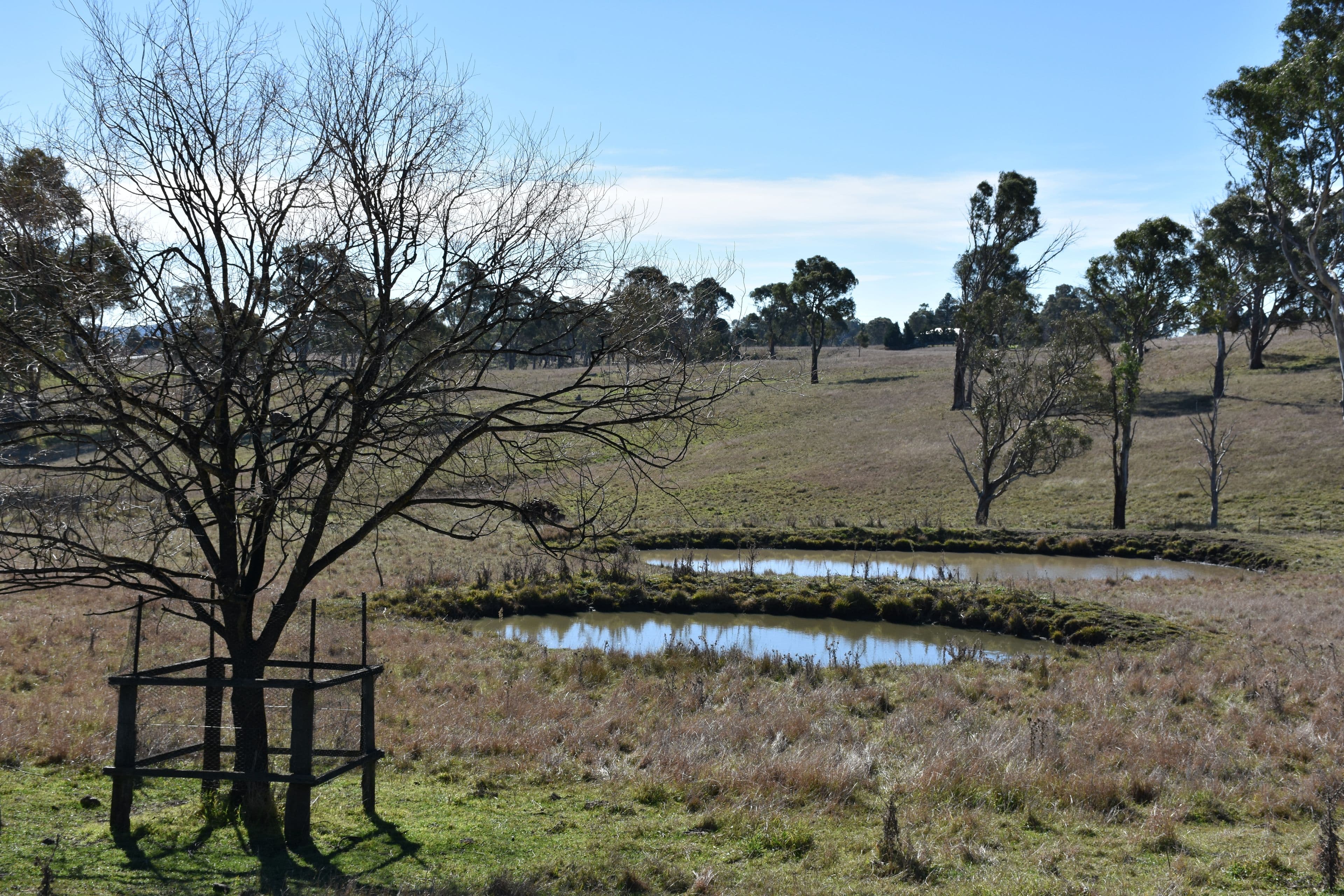 205 Hunter Street, Glen Innes NSW 2370, Glen Innes - Thumbnail 4