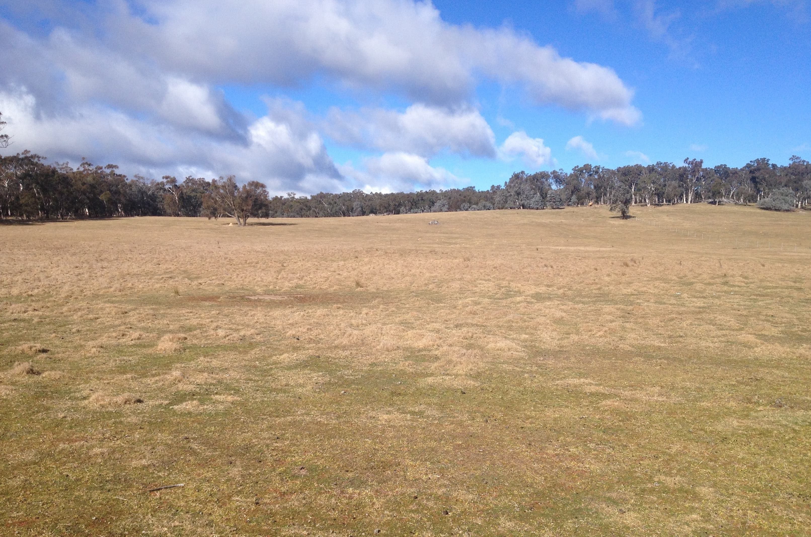 Lot 3, 156 Old Hume Highway, Marulan NSW 2579, Marulan - Thumbnail 3