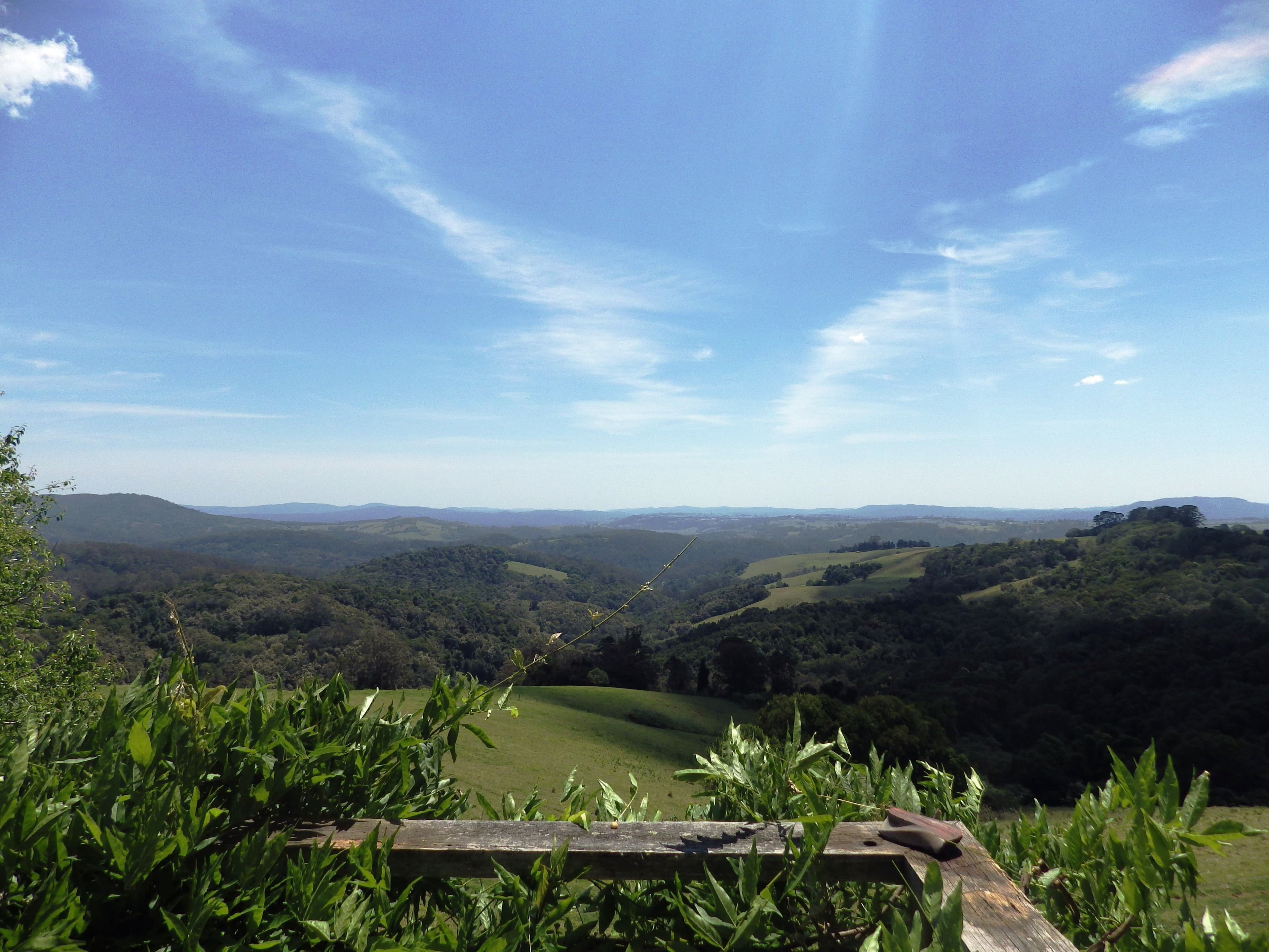 26 Johnsens Road, Dorrigo NSW 2453, Dorrigo - Thumbnail 2
