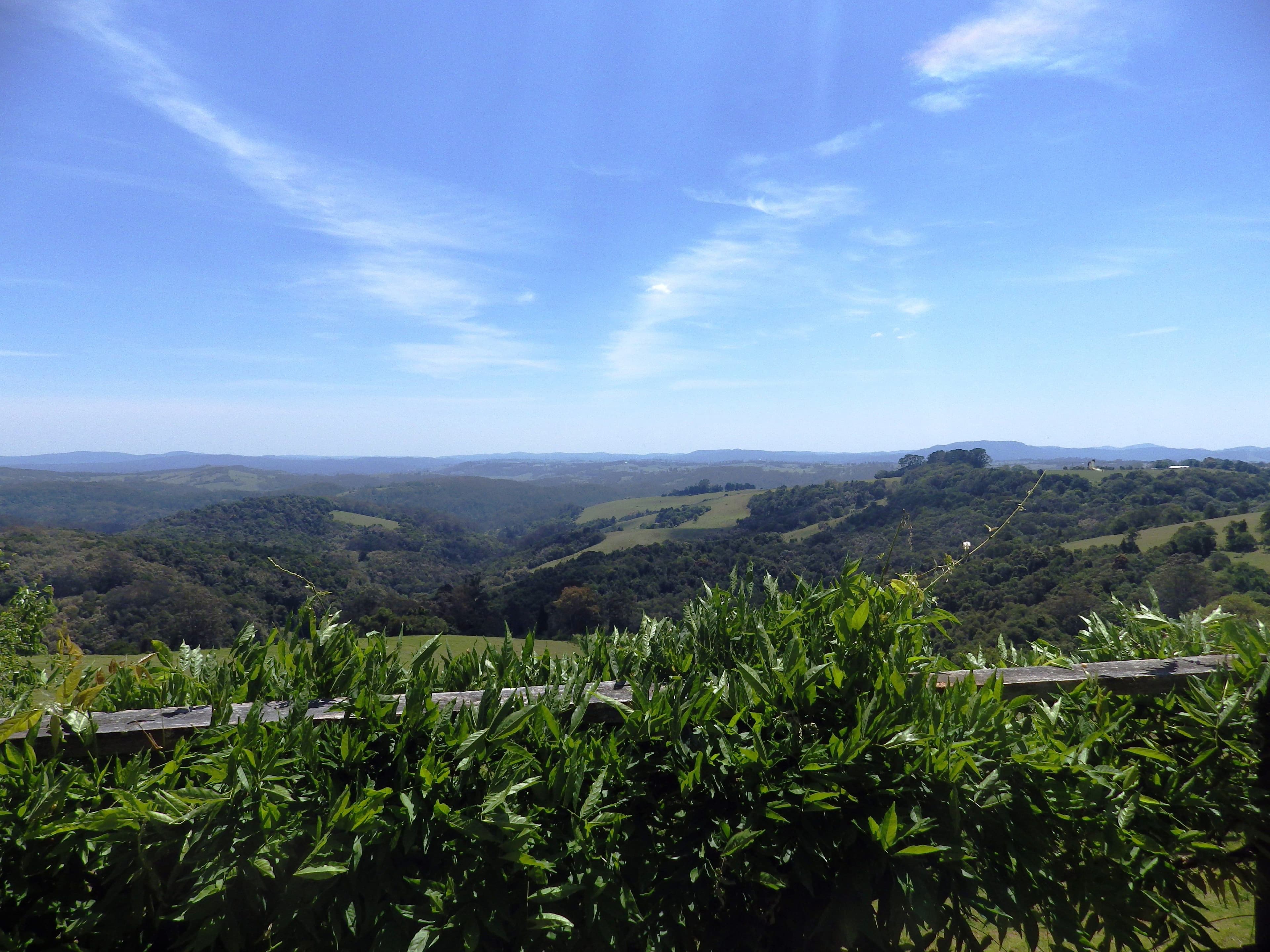 26 Johnsens Road, Dorrigo NSW 2453, Dorrigo - Thumbnail 7