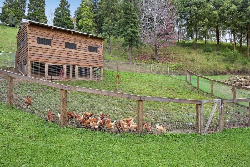 21 Vincents Road, Kurrajong - Thumbnail 8