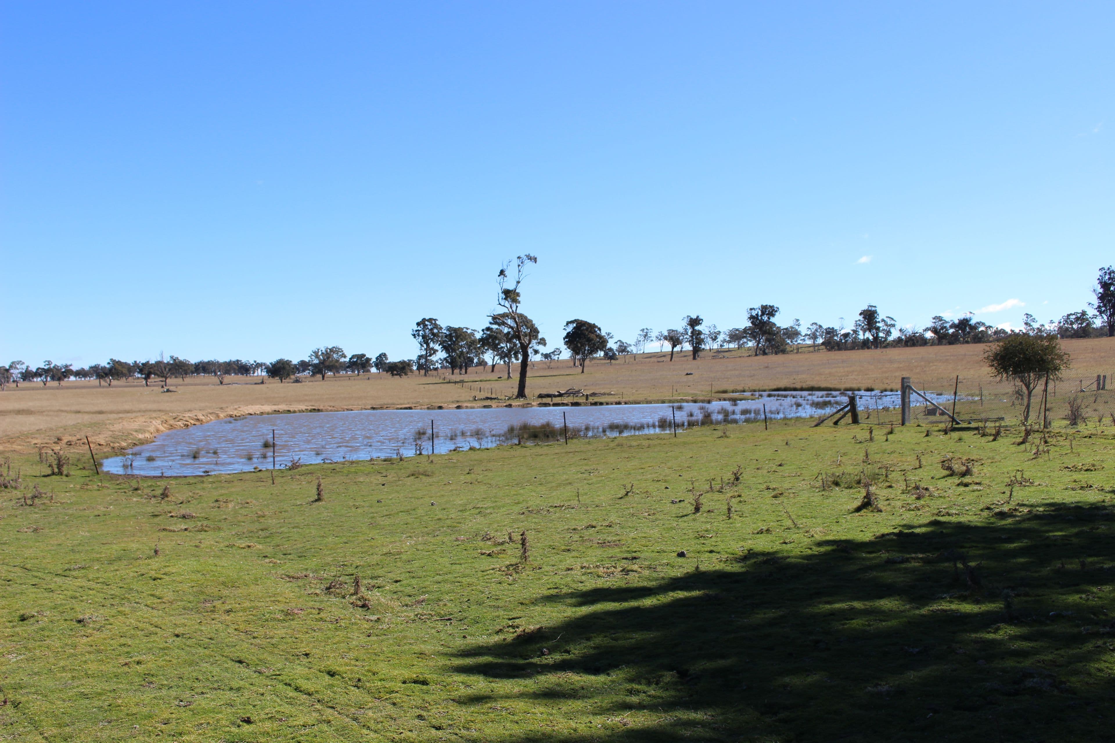 Kenilworth 173 Lochaven Road, Armidale NSW 2350, Armidale - Thumbnail 2