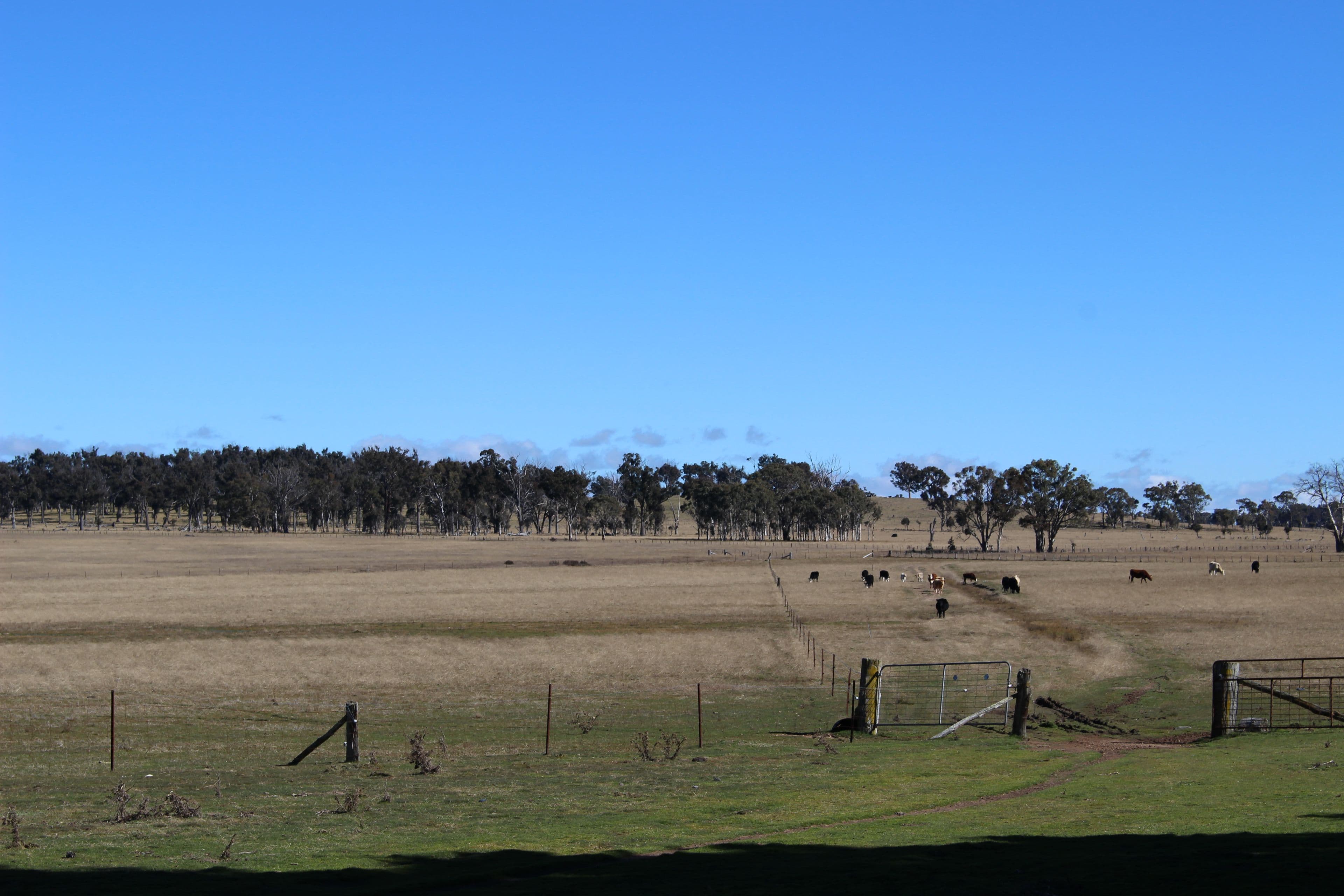 Kenilworth 173 Lochaven Road, Armidale NSW 2350, Armidale - Thumbnail 6