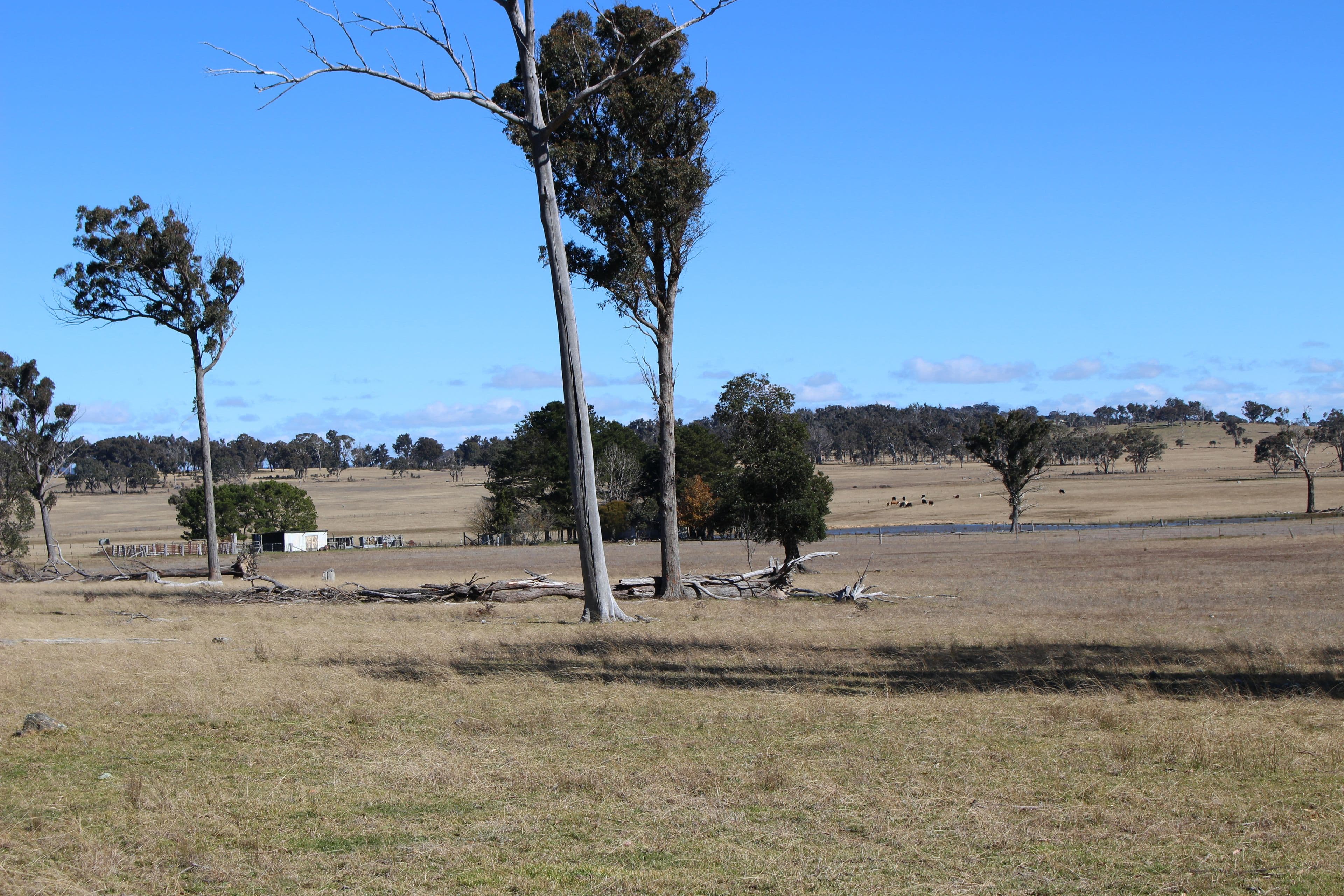 Kenilworth 173 Lochaven Road, Armidale NSW 2350, Armidale - Thumbnail 7