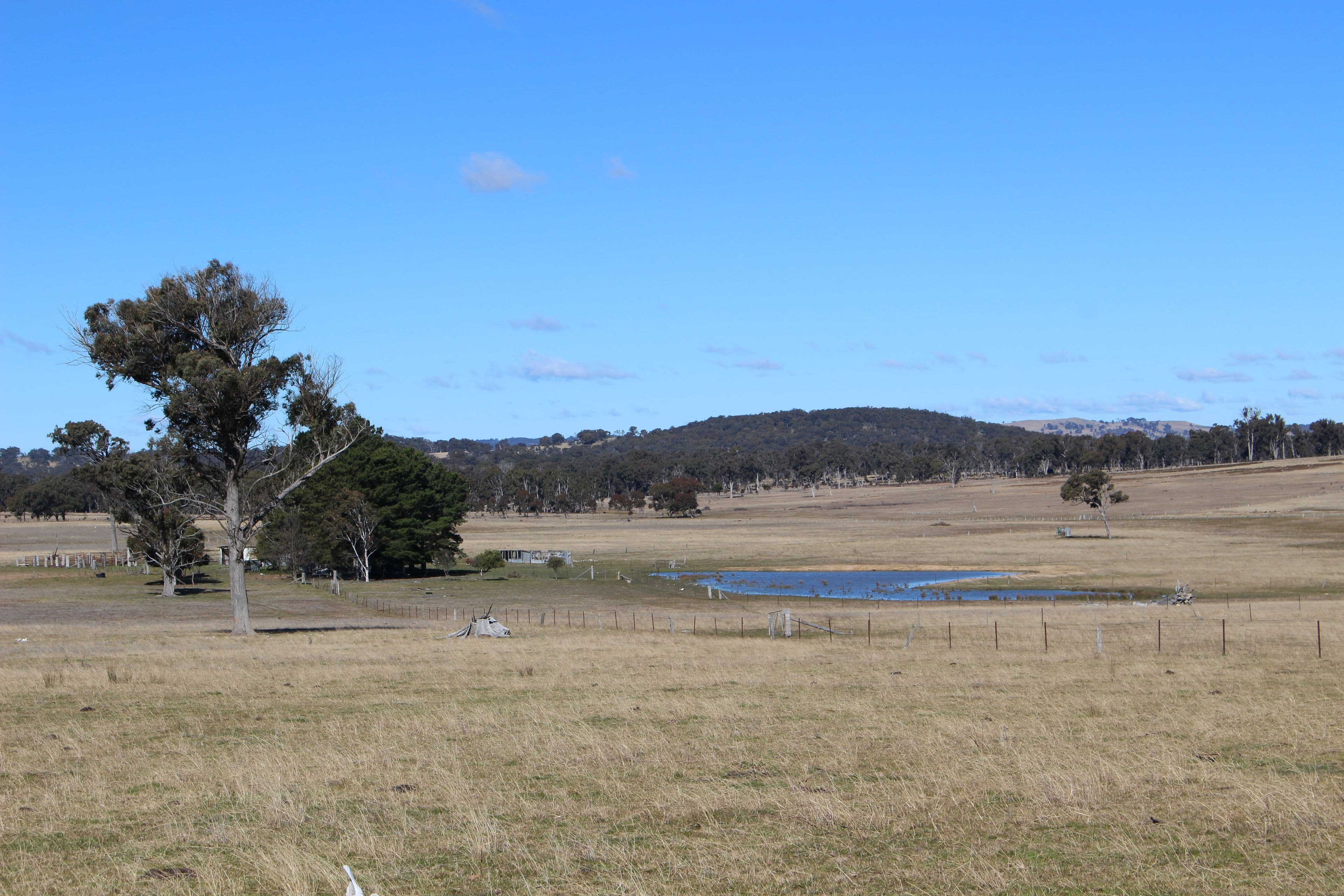 Kenilworth 173 Lochaven Road, Armidale NSW 2350, Armidale - Image 1
