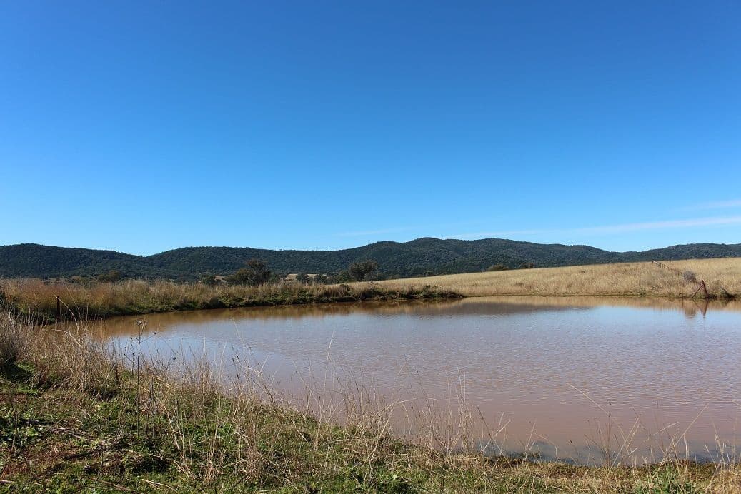 Cobbadah Rd "Lansdale", BINGARA NSW 2404, Bingara - Thumbnail 8