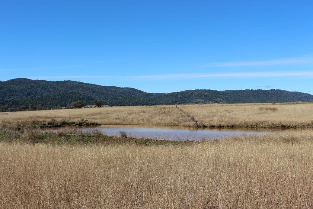 Cobbadah Rd "Lansdale", BINGARA NSW 2404, Bingara - Thumbnail 6