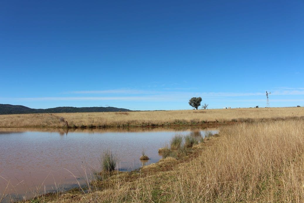 Cobbadah Rd "Lansdale", BINGARA NSW 2404, Bingara - Thumbnail 7