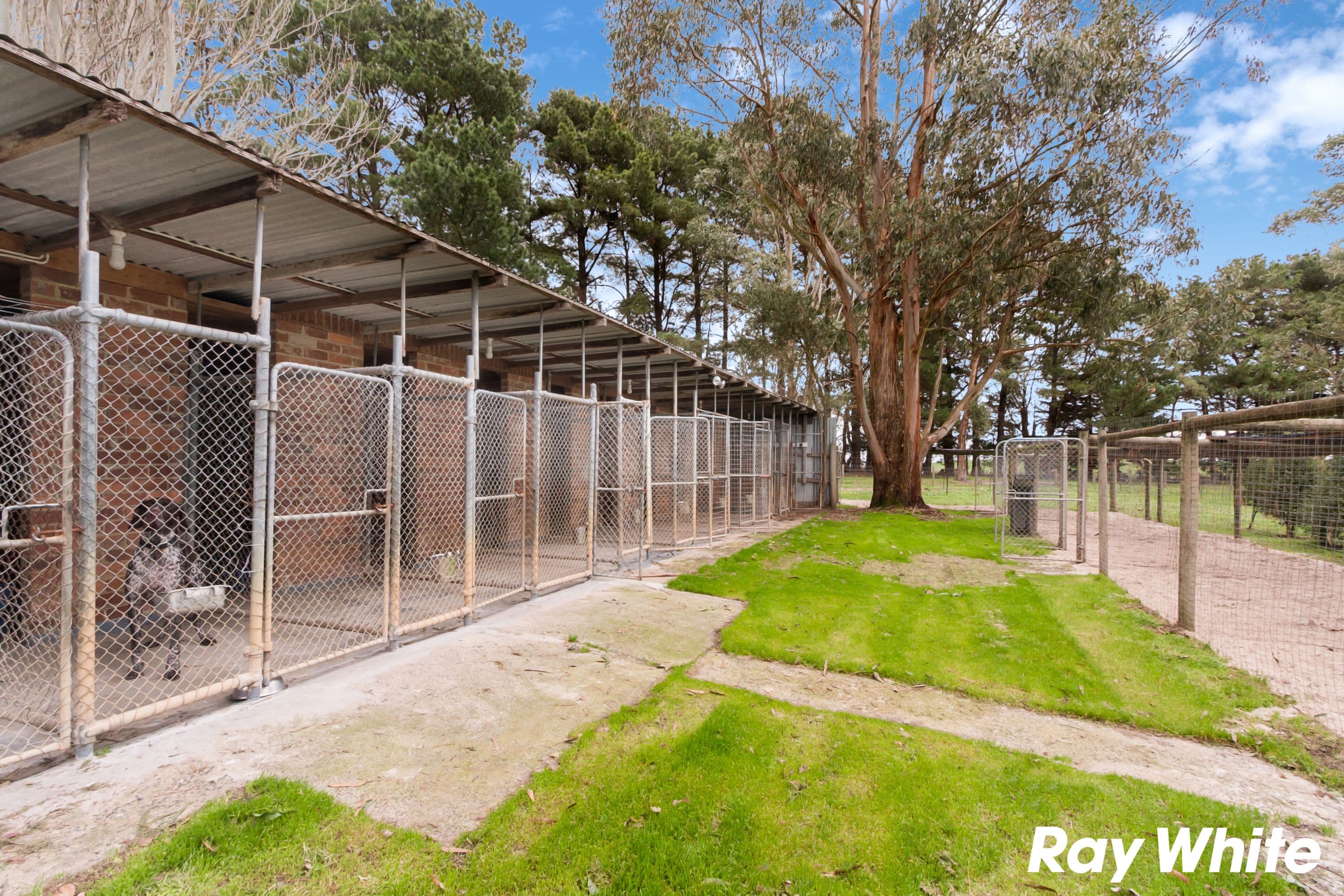 735 Mt Lyall Road, Nyora VIC 3987, Nyora - Thumbnail 3