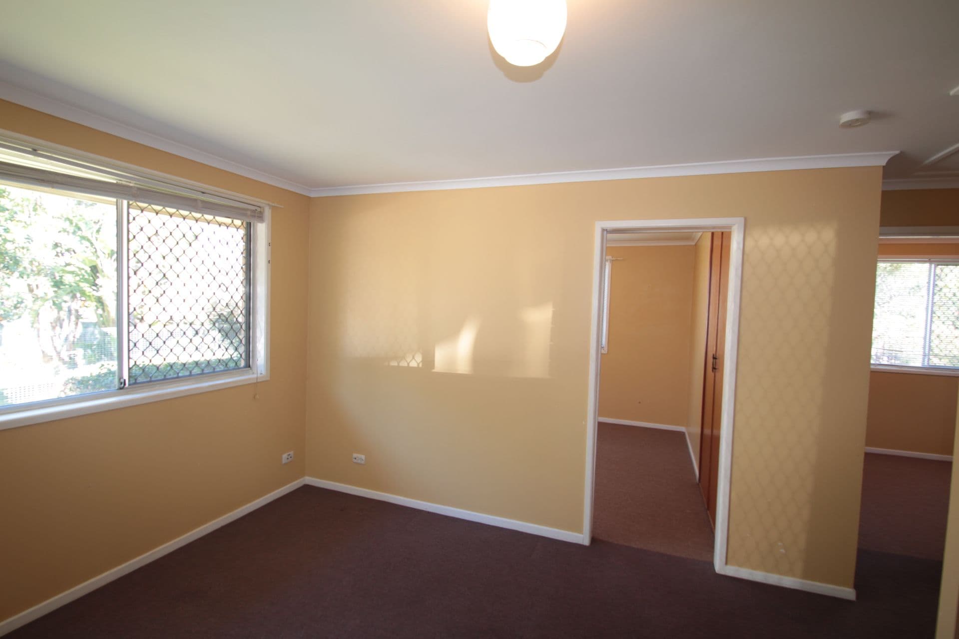 8 Tomkys Street, Rockville QLD 4350, Rockville - Thumbnail 7