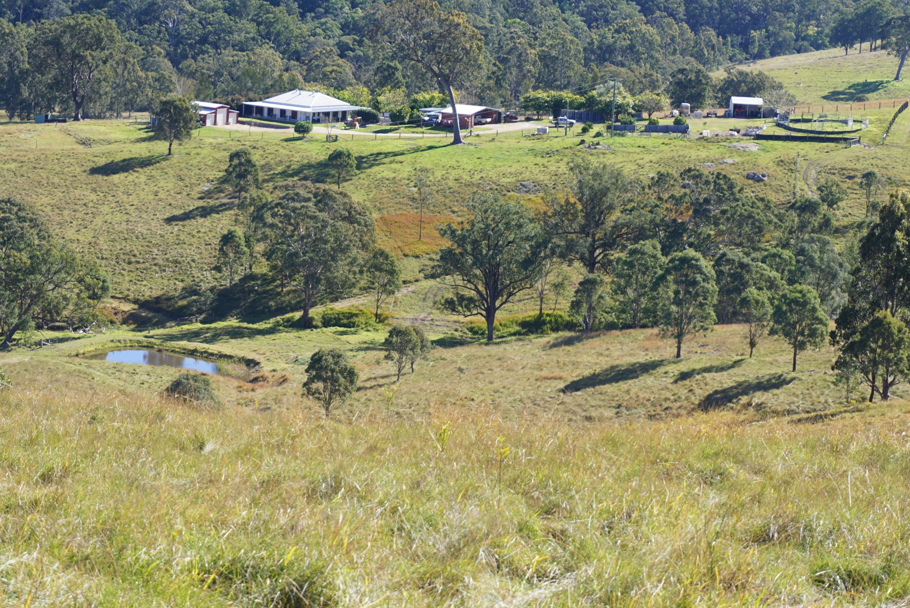 290 Myall Creek Road, Singleton NSW 2330, Singleton - Image 1