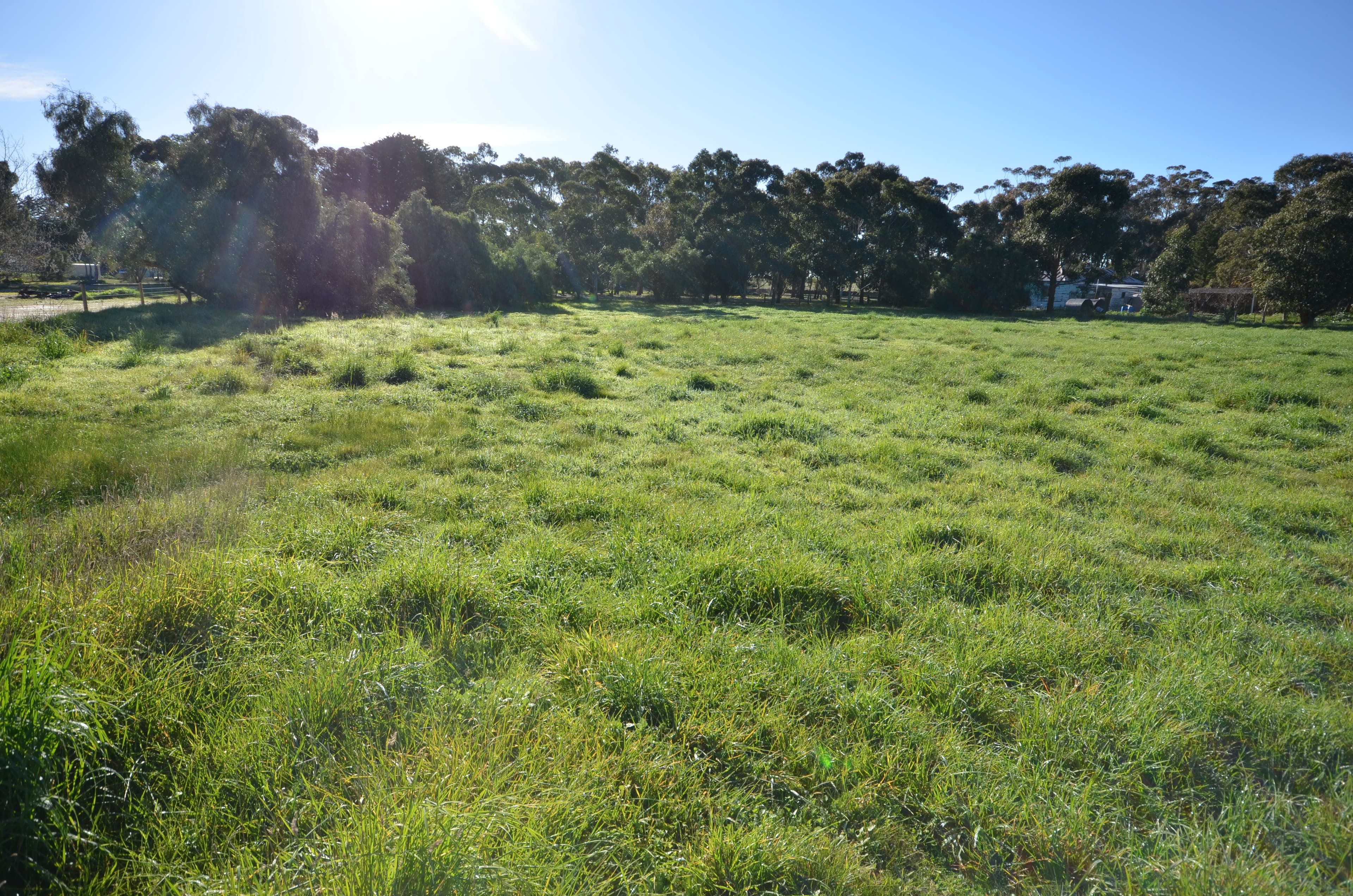 CA 4 Ferrars Street, ROKEWOOD VIC 3330, Rokewood - Thumbnail 3