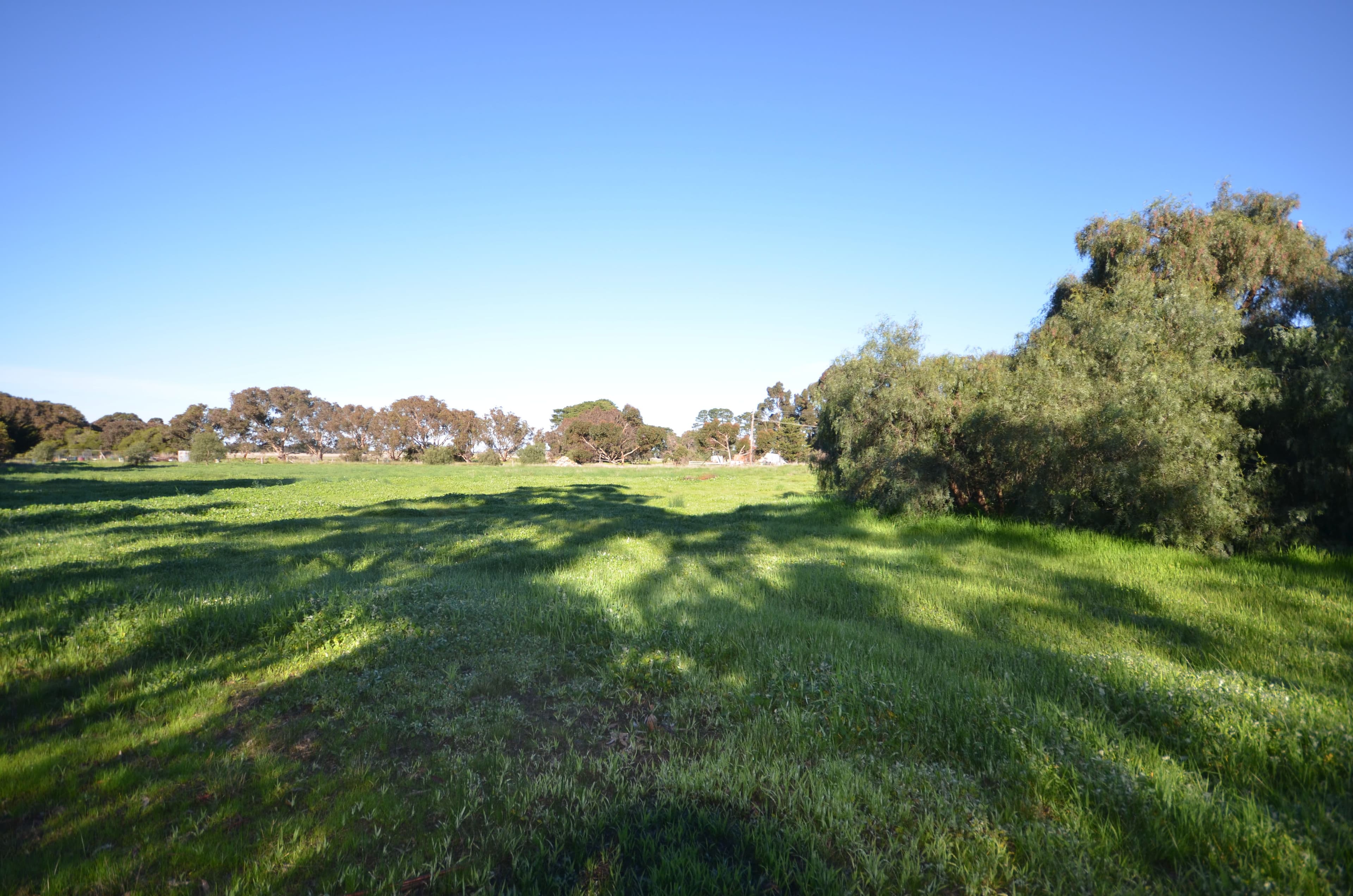 CA 4 Ferrars Street, ROKEWOOD VIC 3330, Rokewood - Image 1
