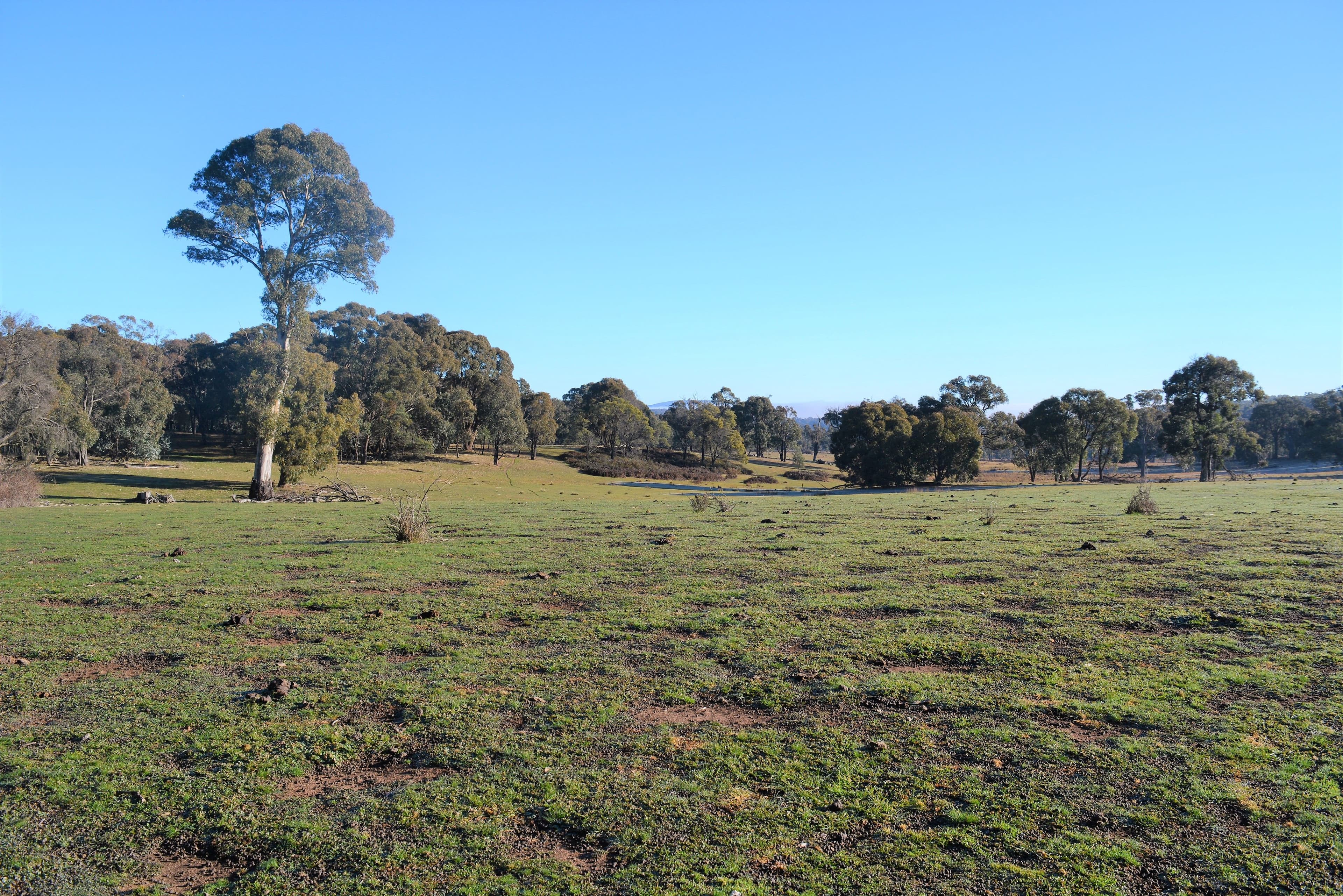 Lot 217 Redground Road, Crookwell NSW 2583, Crookwell - Thumbnail 2