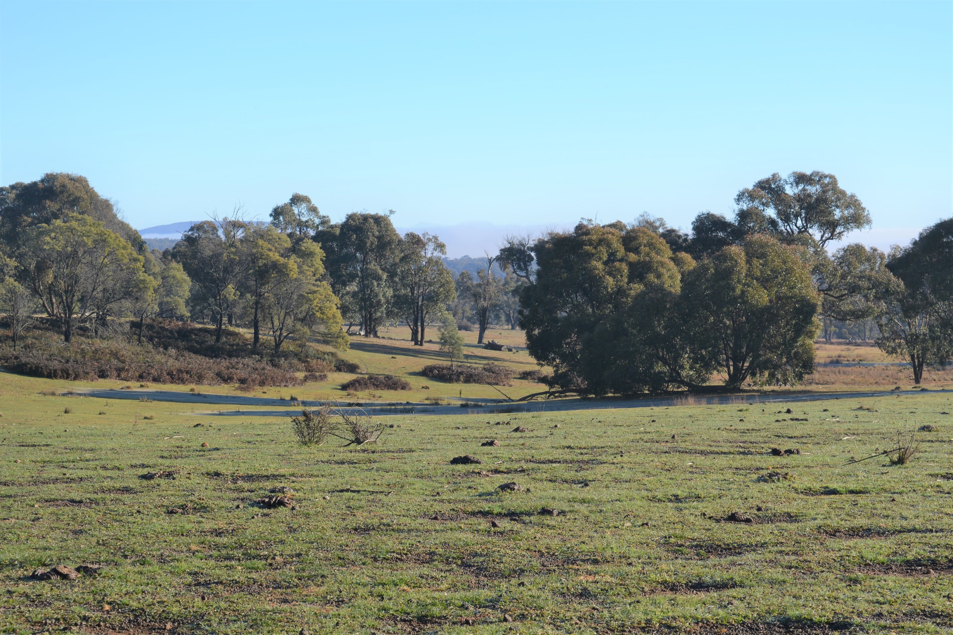 Lot 217 Redground Road, Crookwell NSW 2583, Crookwell - Thumbnail 4