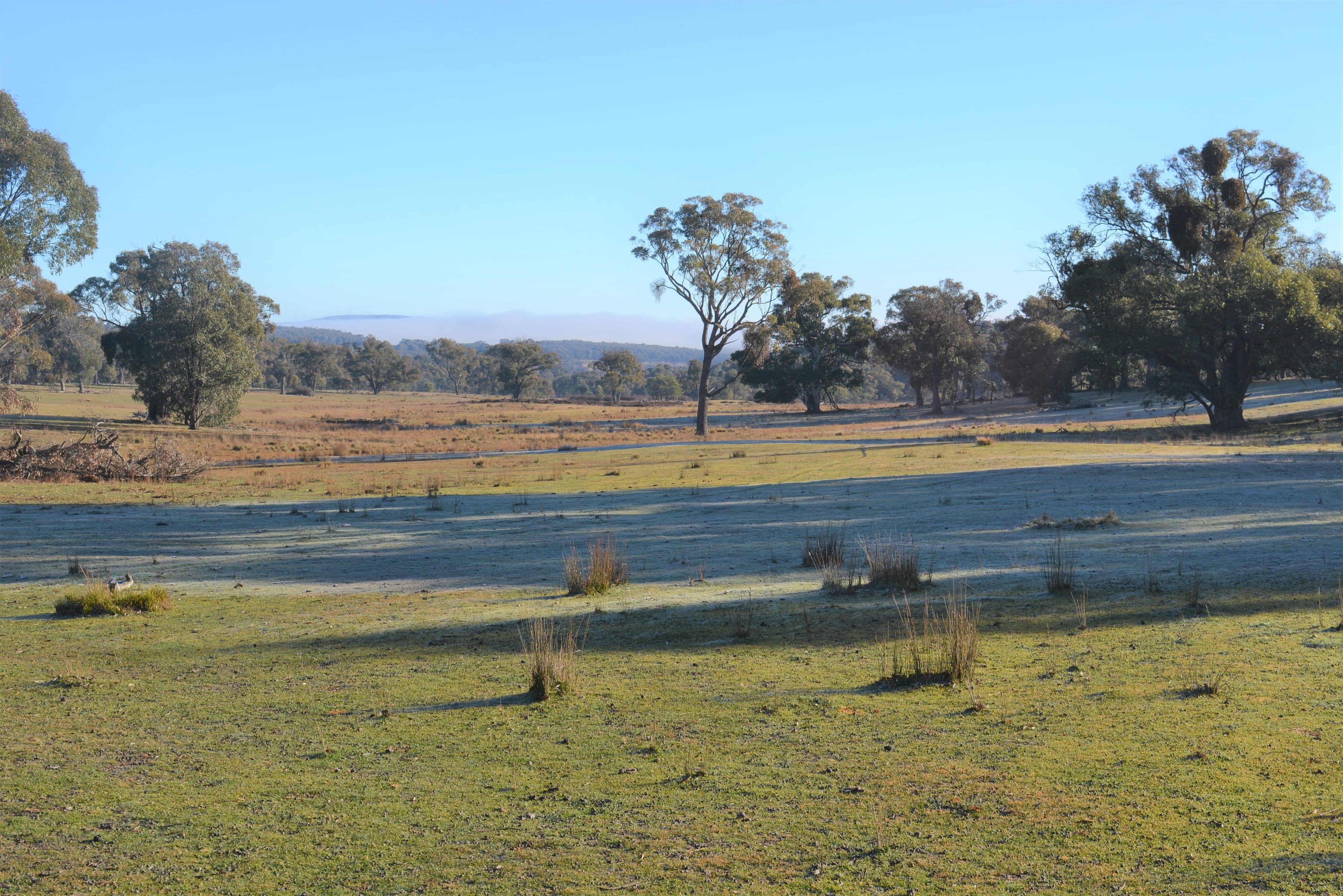 Lot 217 Redground Road, Crookwell NSW 2583, Crookwell - Thumbnail 8