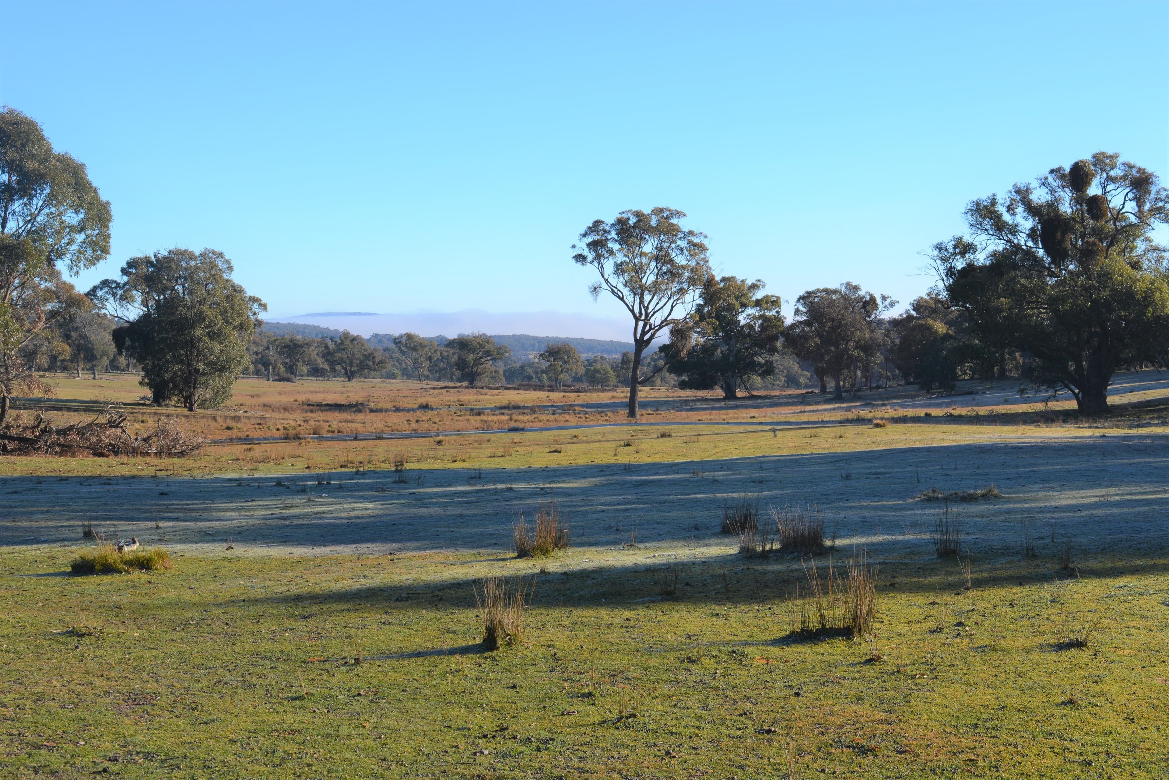 Lot 217 Redground Road, Crookwell NSW 2583, Crookwell - Thumbnail 6