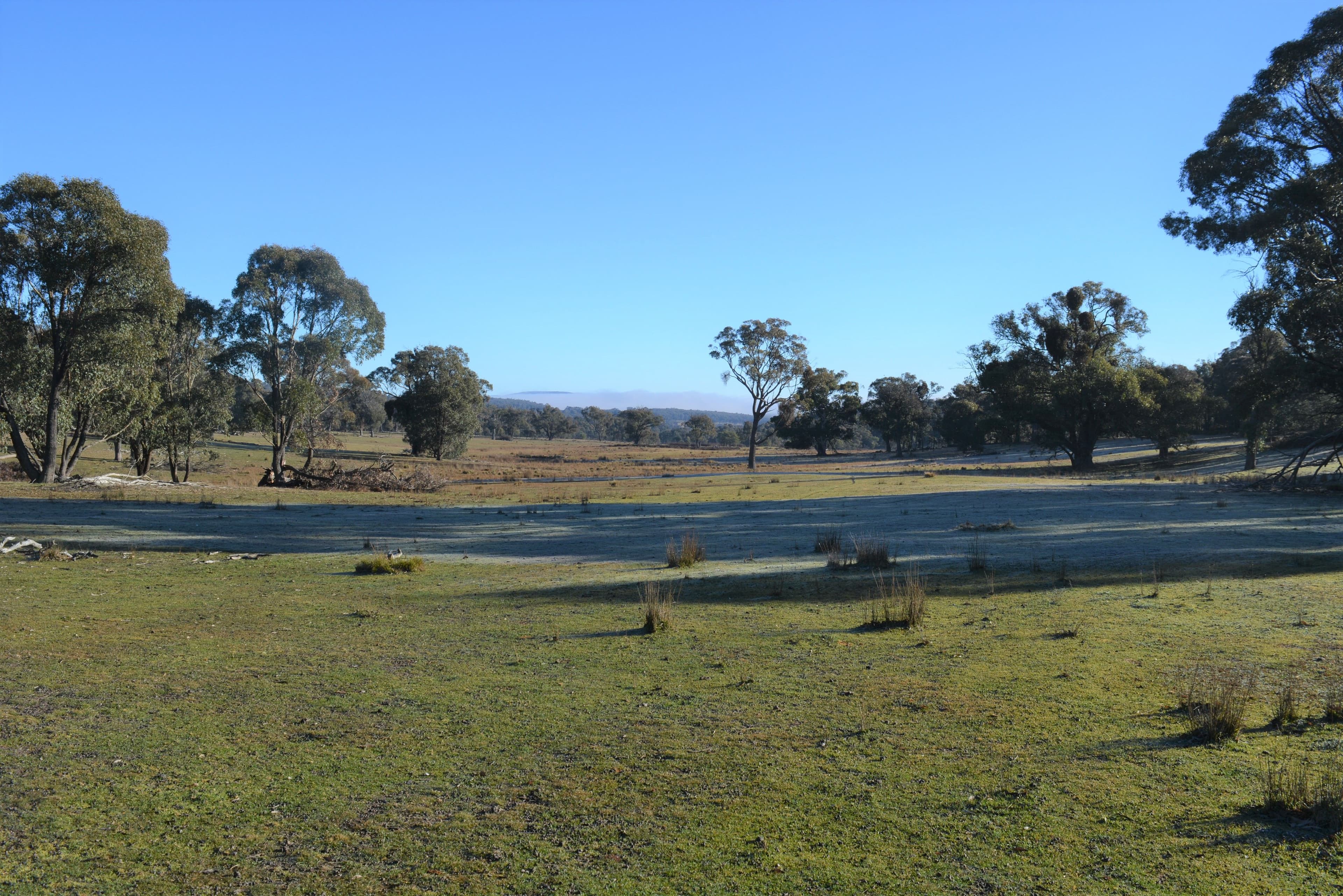 Lot 217 Redground Road, Crookwell NSW 2583, Crookwell - Thumbnail 5