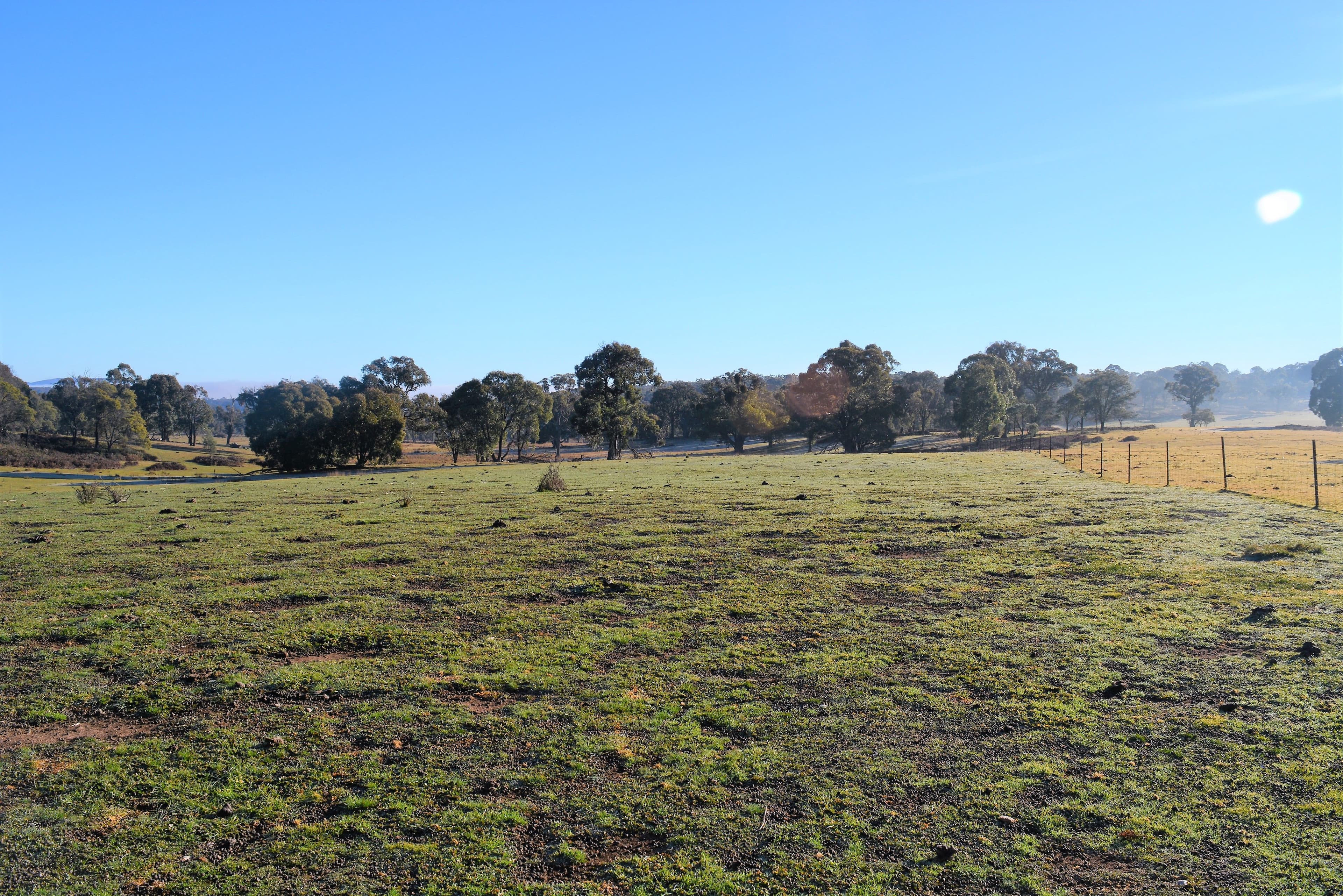Lot 217 Redground Road, Crookwell NSW 2583, Crookwell - Thumbnail 7