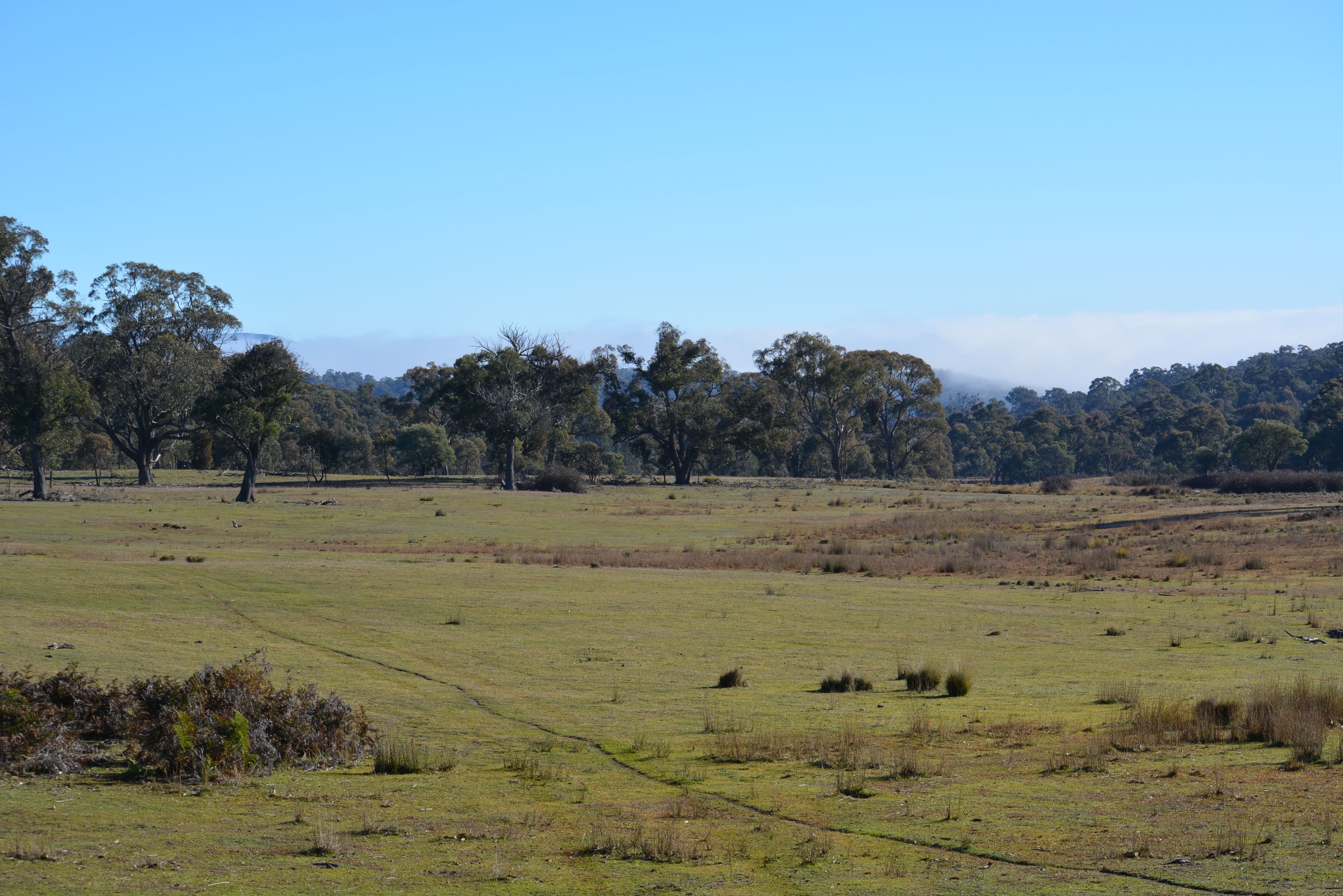Lot 217 Redground Road, Crookwell NSW 2583, Crookwell - Image 1