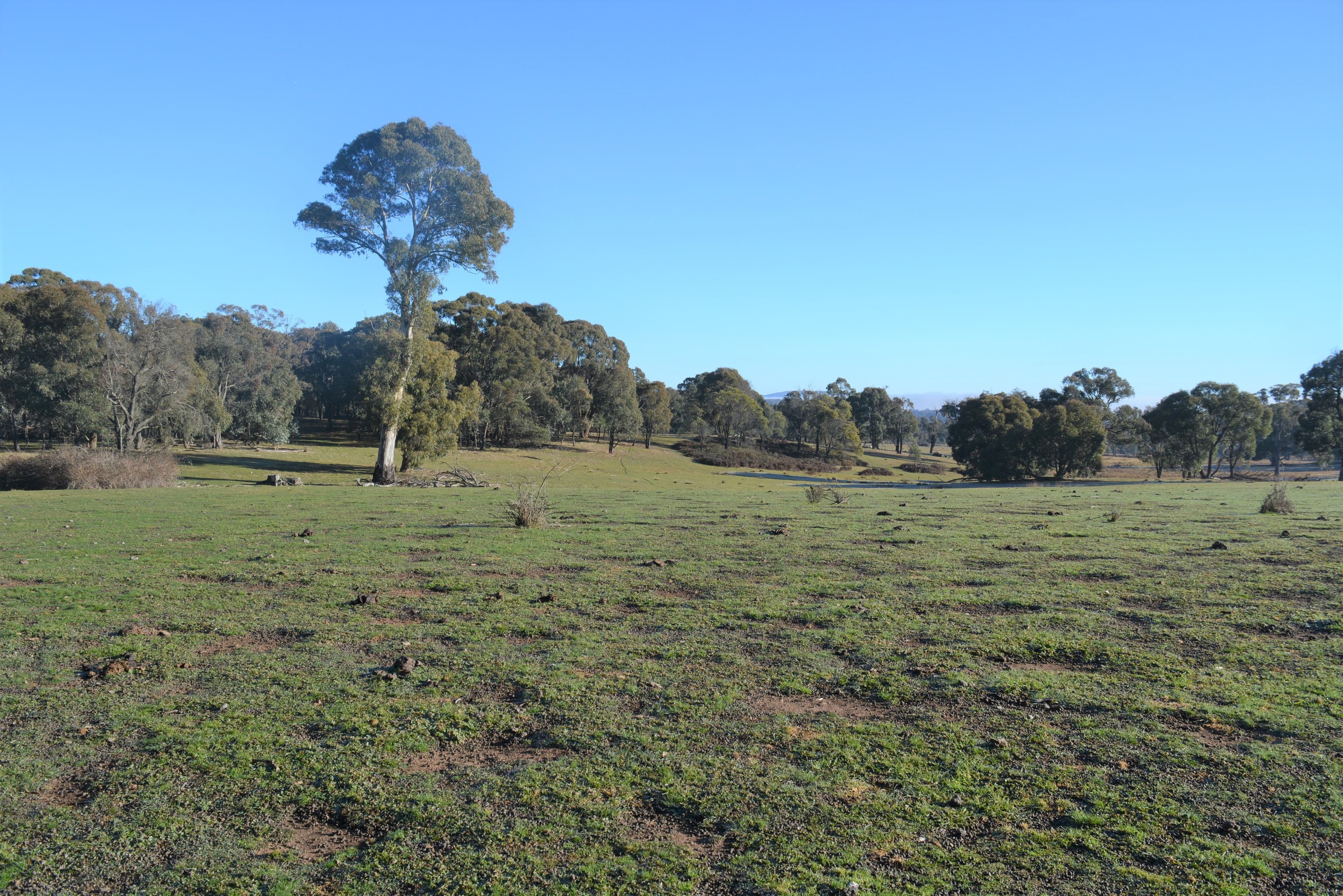 Lot 217 Redground Road, Crookwell NSW 2583, Crookwell - Thumbnail 3
