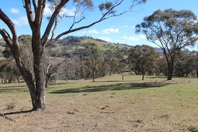 499 Cuthill Road, Oberon NSW 2787, Oberon - Thumbnail 3