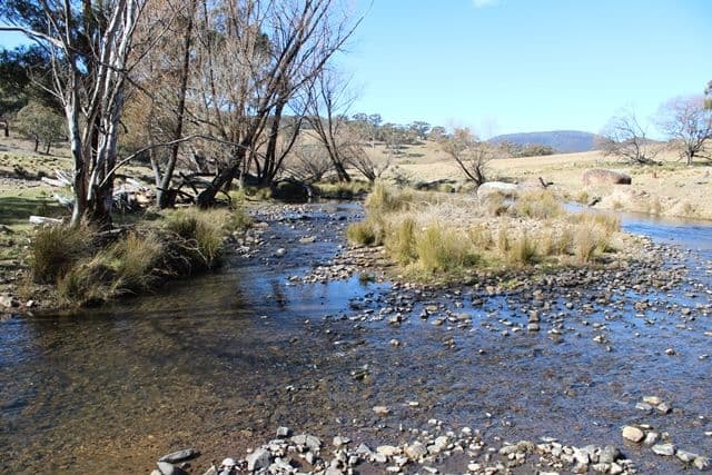 499 Cuthill Road, Oberon NSW 2787, Oberon - Thumbnail 4