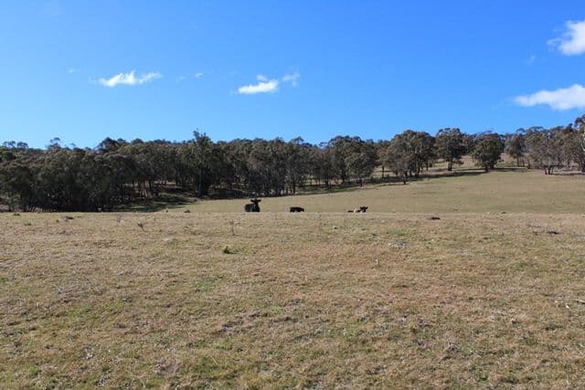 499 Cuthill Road, Oberon NSW 2787, Oberon - Thumbnail 5