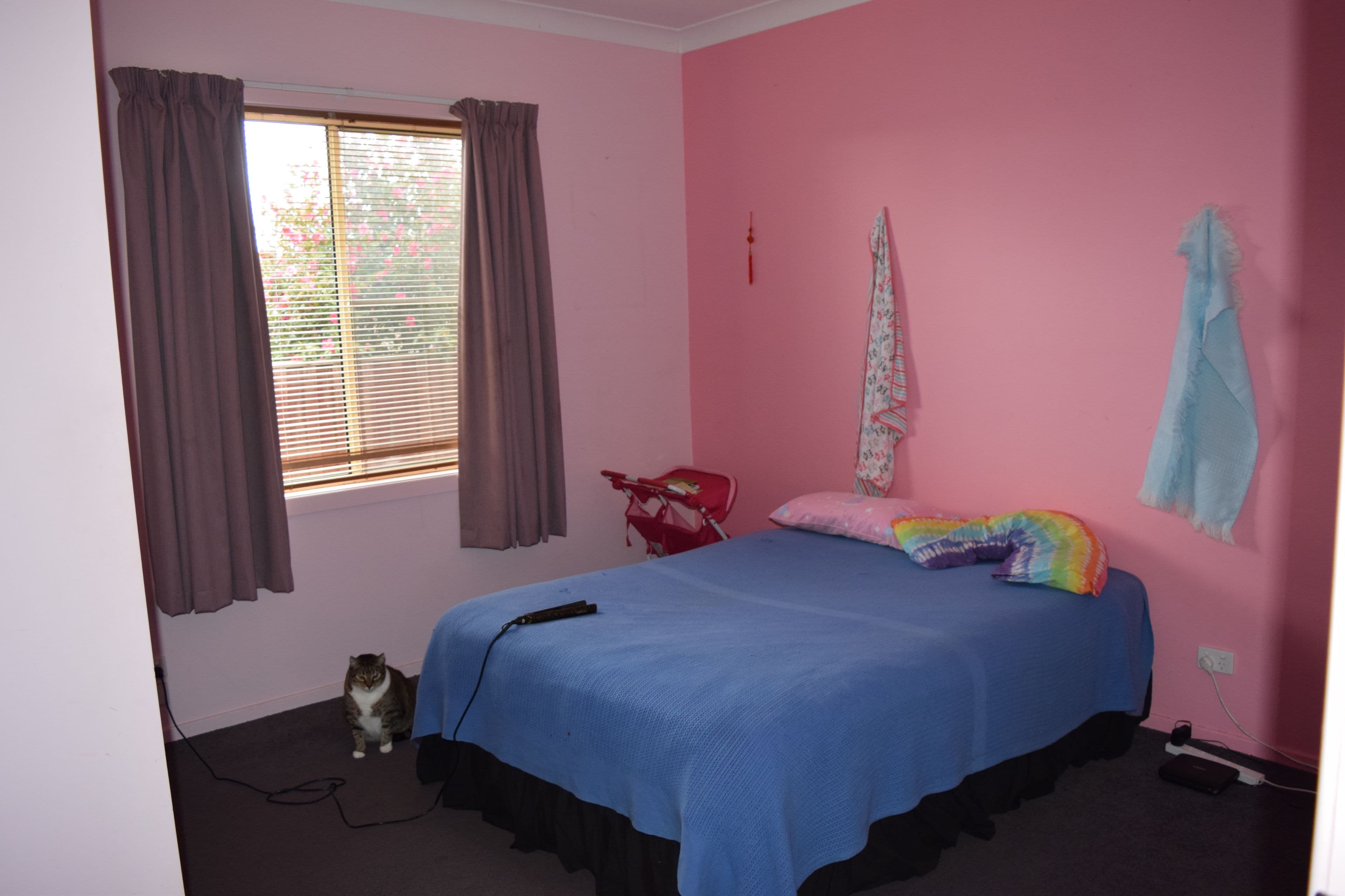 19 O'Donnell Avenue, Guyra - Thumbnail 8