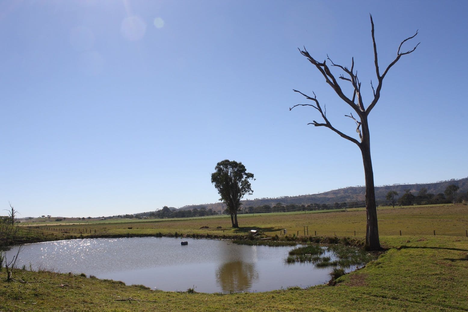 107 Round Mountain Road, LARAVALE QLD 4285, Laravale - Thumbnail 5
