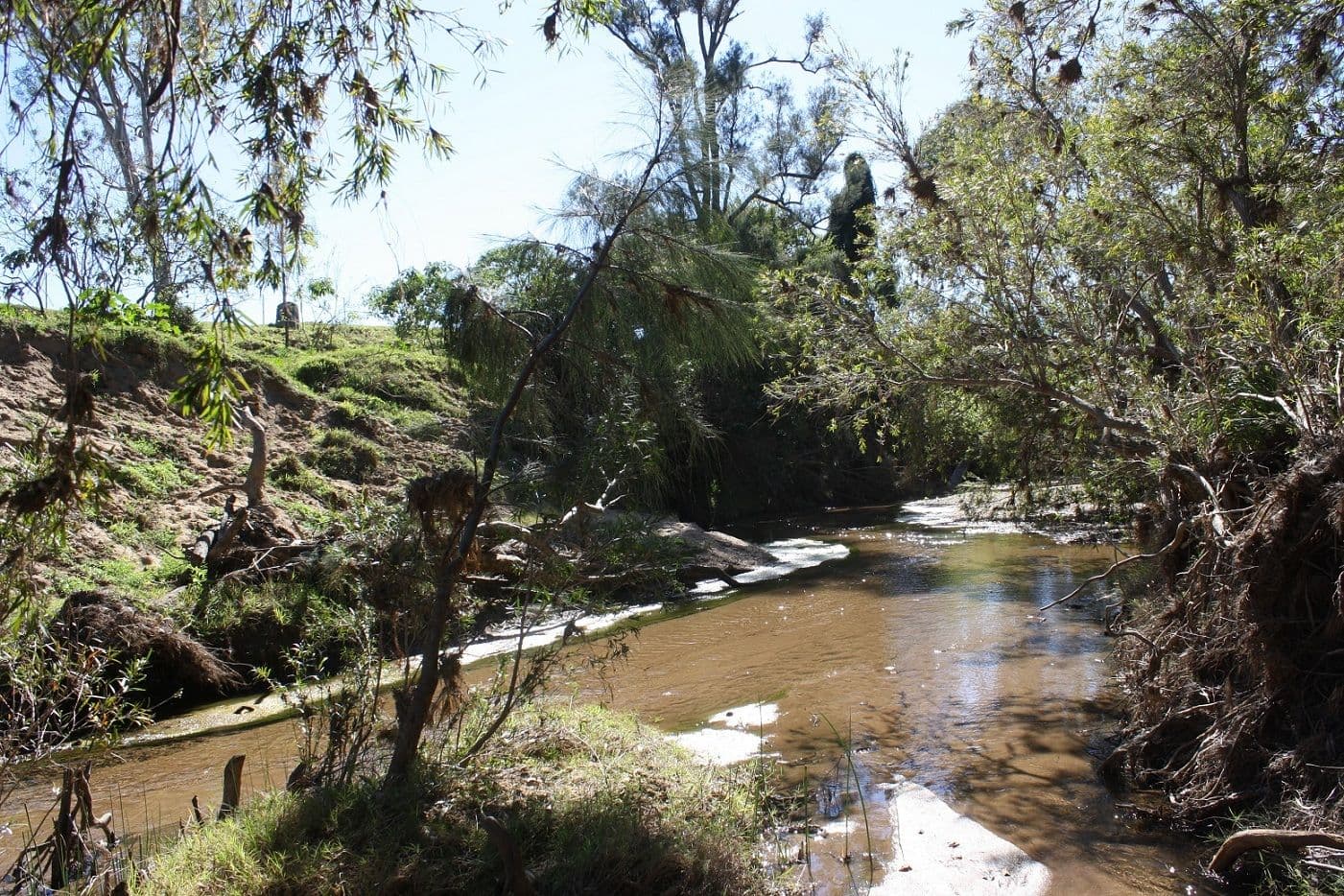 107 Round Mountain Road, LARAVALE QLD 4285, Laravale - Thumbnail 4