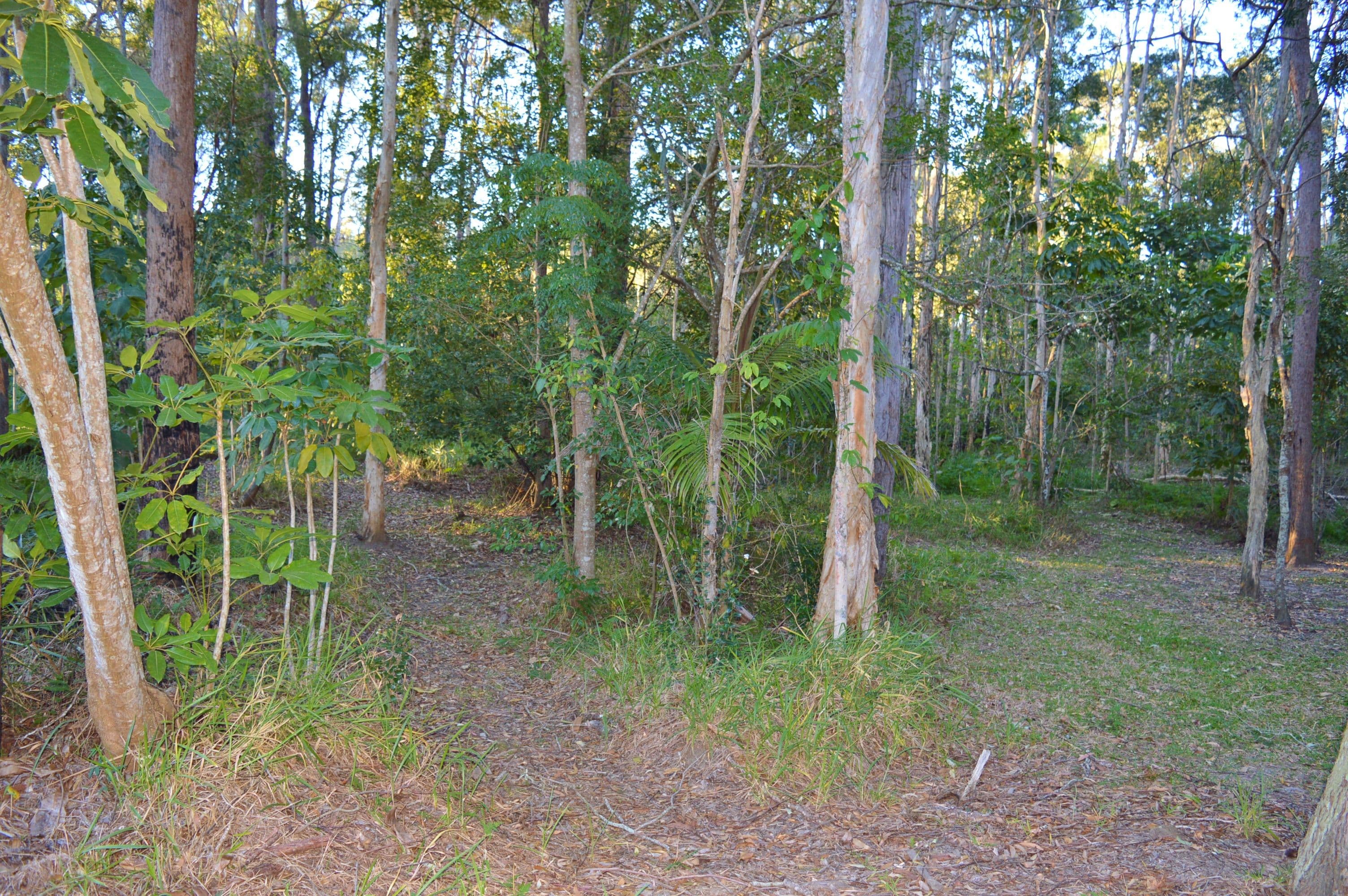 26 Strawberry Road, Beerwah QLD 4519, Beerwah - Thumbnail 8