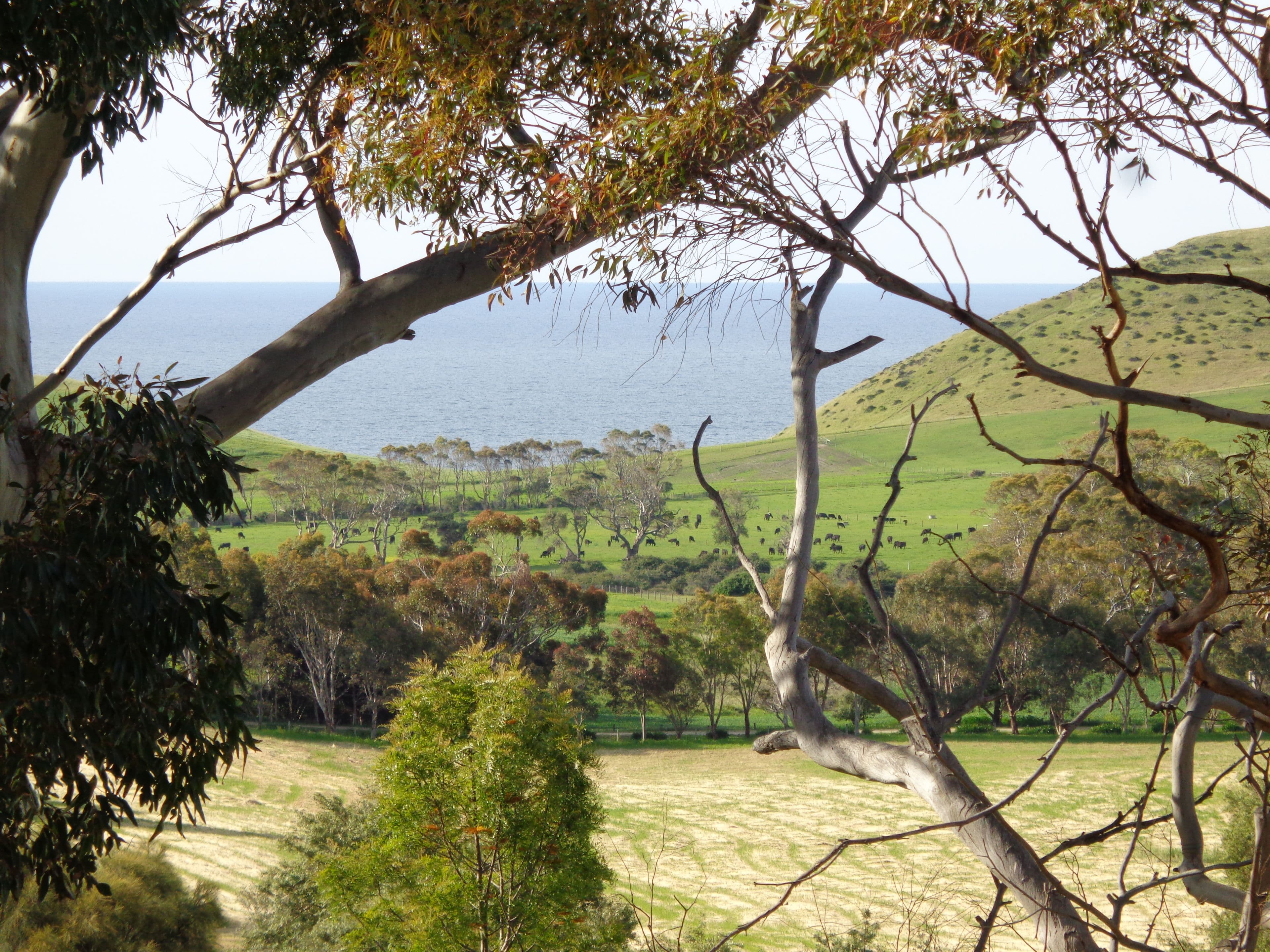 5 Caslake Close, Second Valley SA 5204, Second Valley - Thumbnail 2