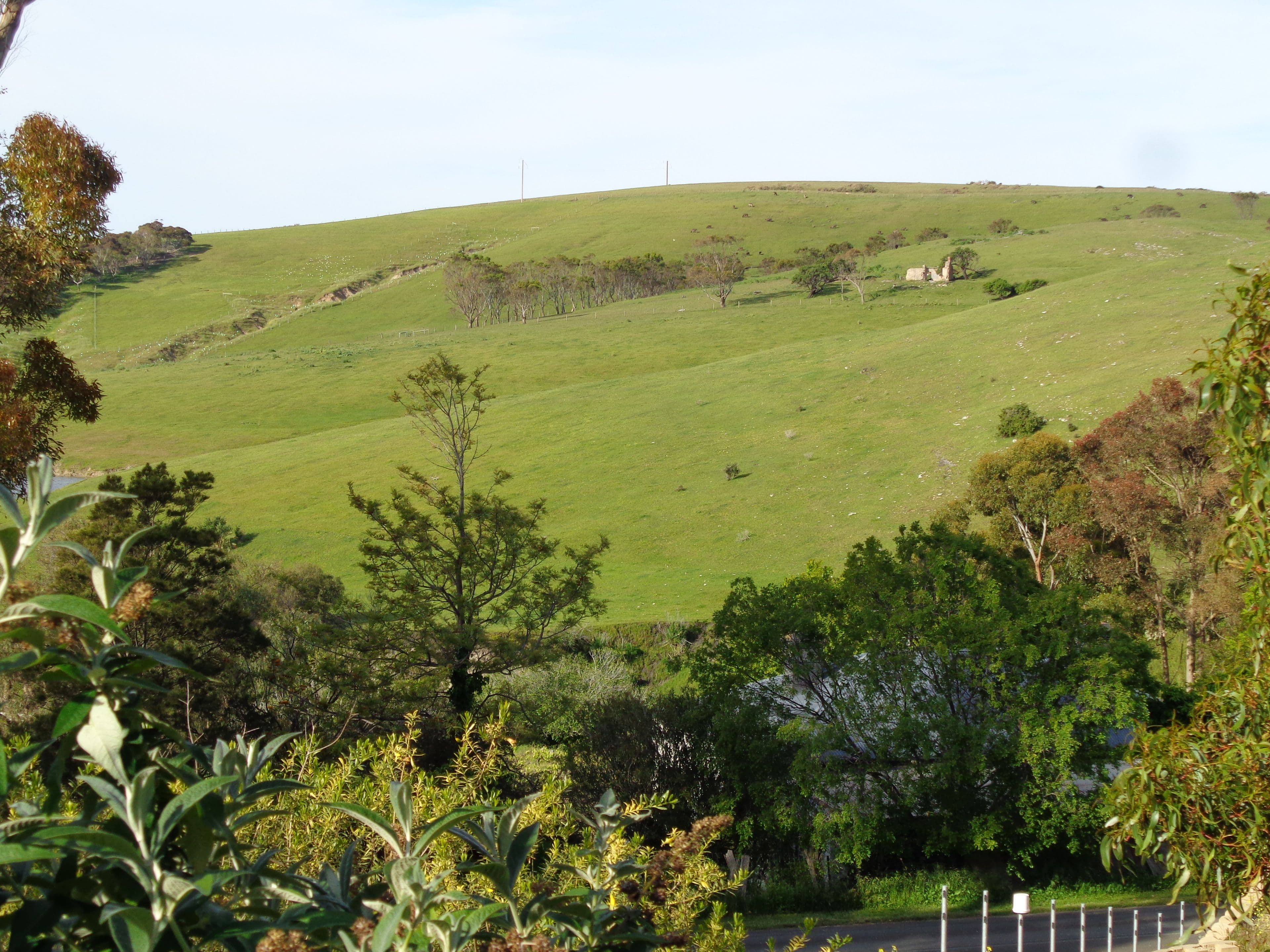 5 Caslake Close, Second Valley SA 5204, Second Valley - Image 1