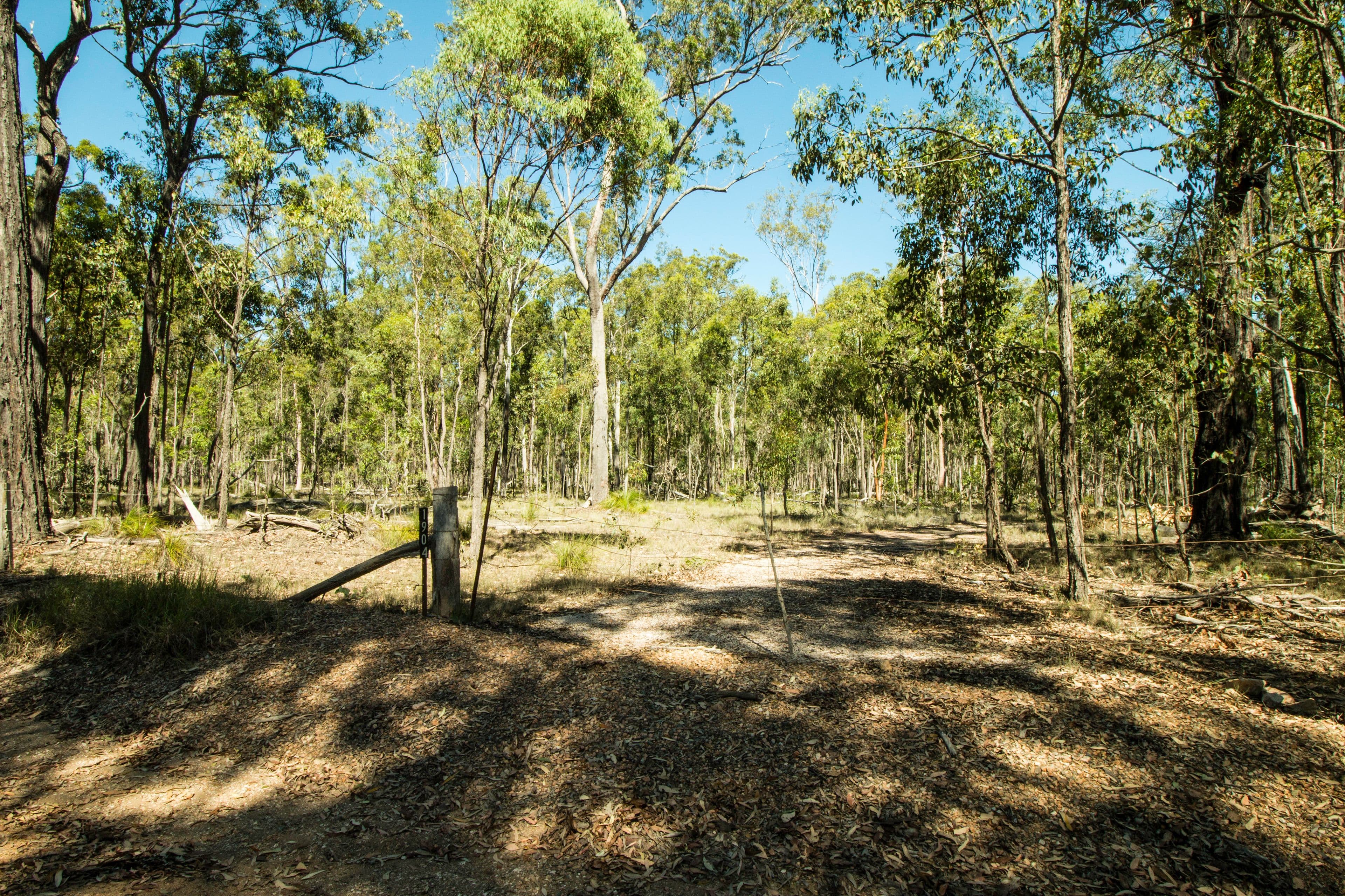 1904 Lowmead Road, Colosseum QLD 4677, Colosseum - Thumbnail 2