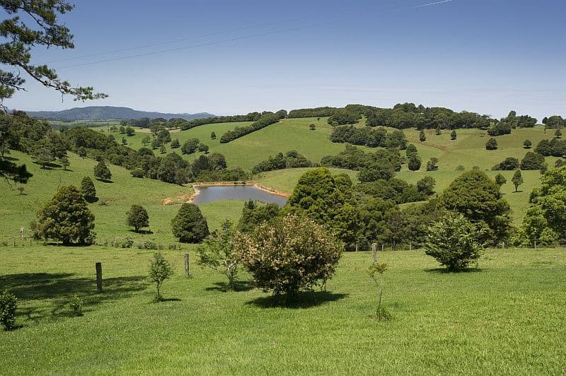 4948 Waterfall Way, Dorrigo NSW 2453, Dorrigo - Image 1
