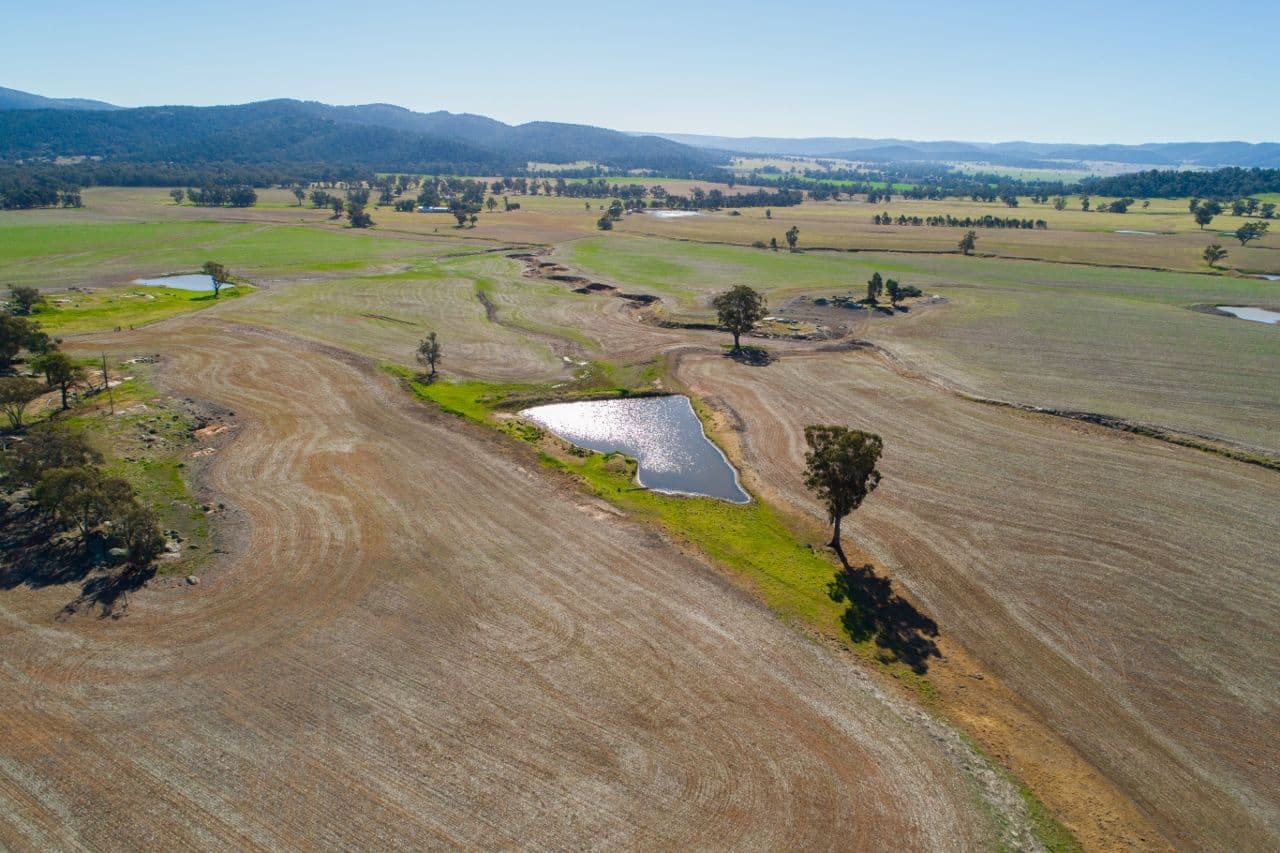 165 Pengillys Lane, Eugowra NSW 2806, Eugowra - Thumbnail 6
