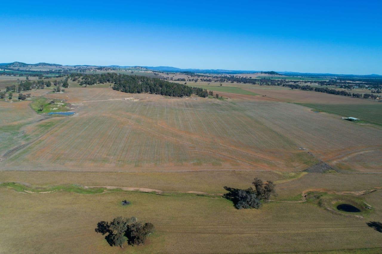 165 Pengillys Lane, Eugowra NSW 2806, Eugowra - Thumbnail 2
